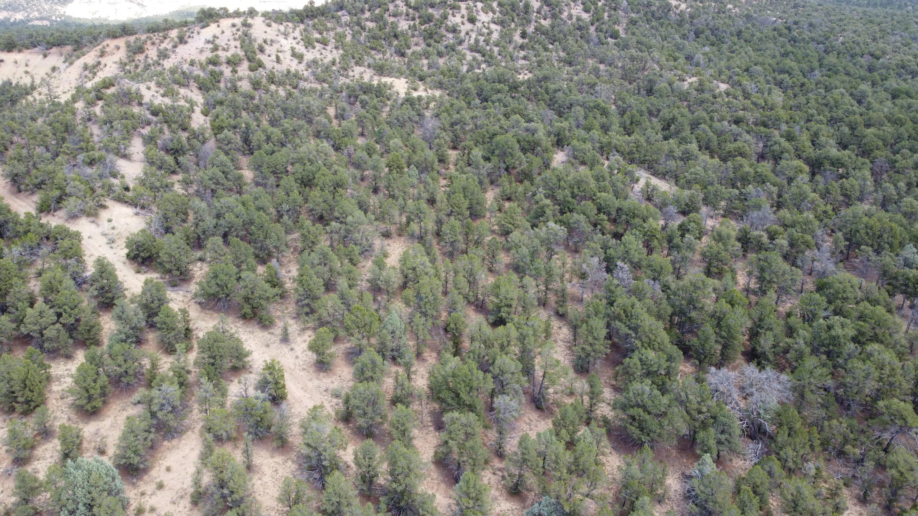Tbd Naranjo Creek Road