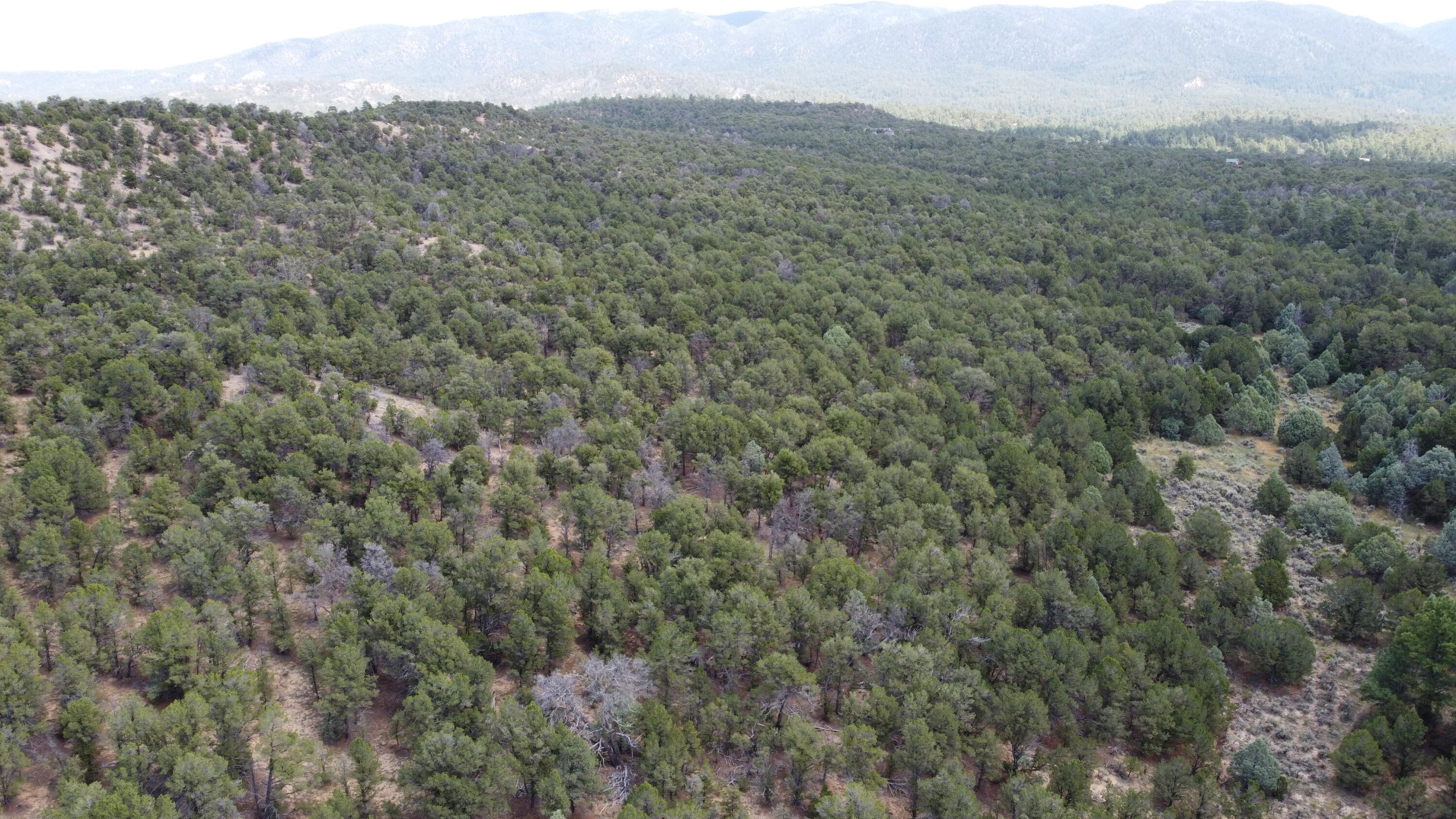 Tbd Naranjo Creek Road