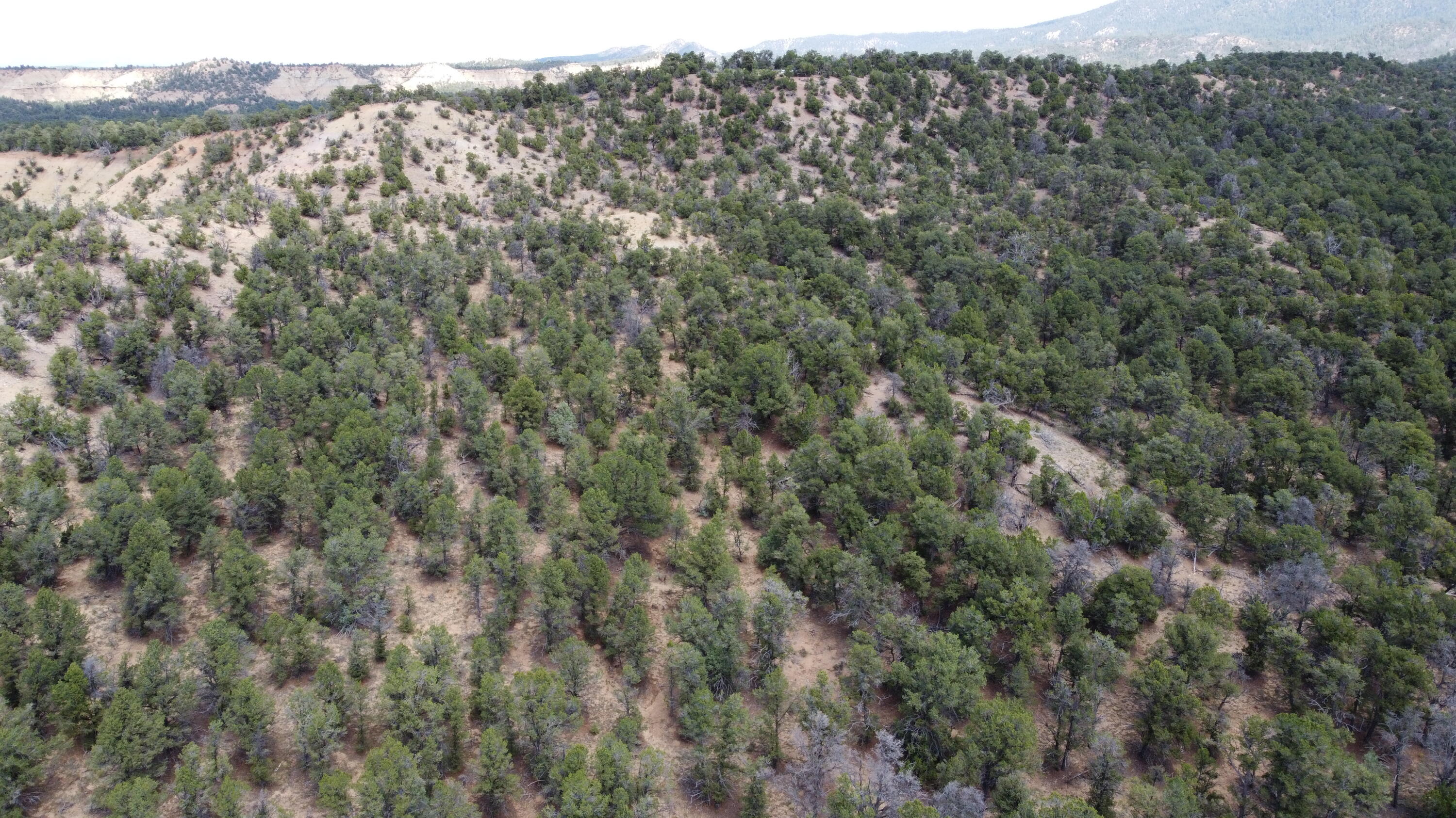 Tbd Naranjo Creek Road
