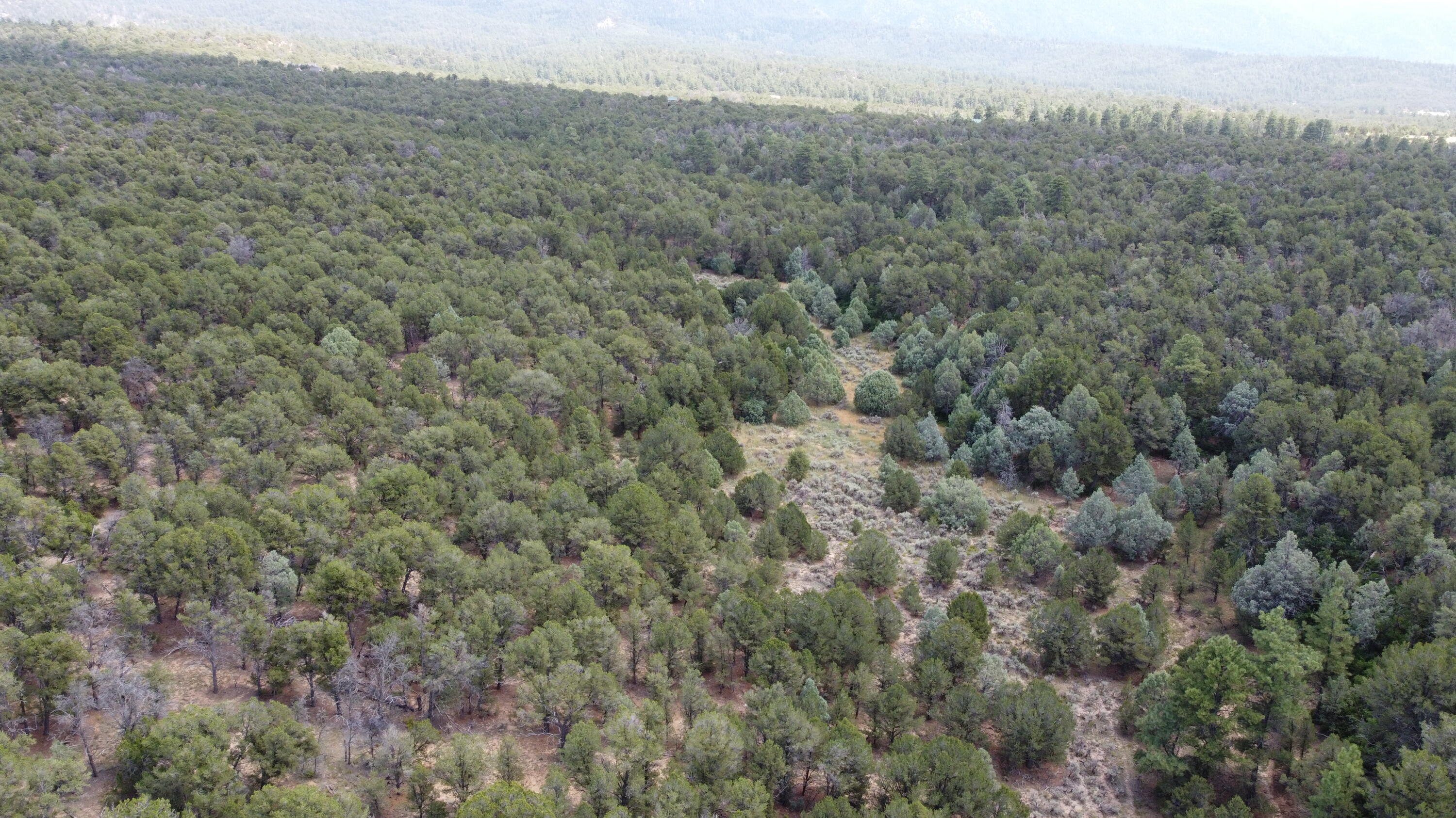 Tbd Naranjo Creek Road