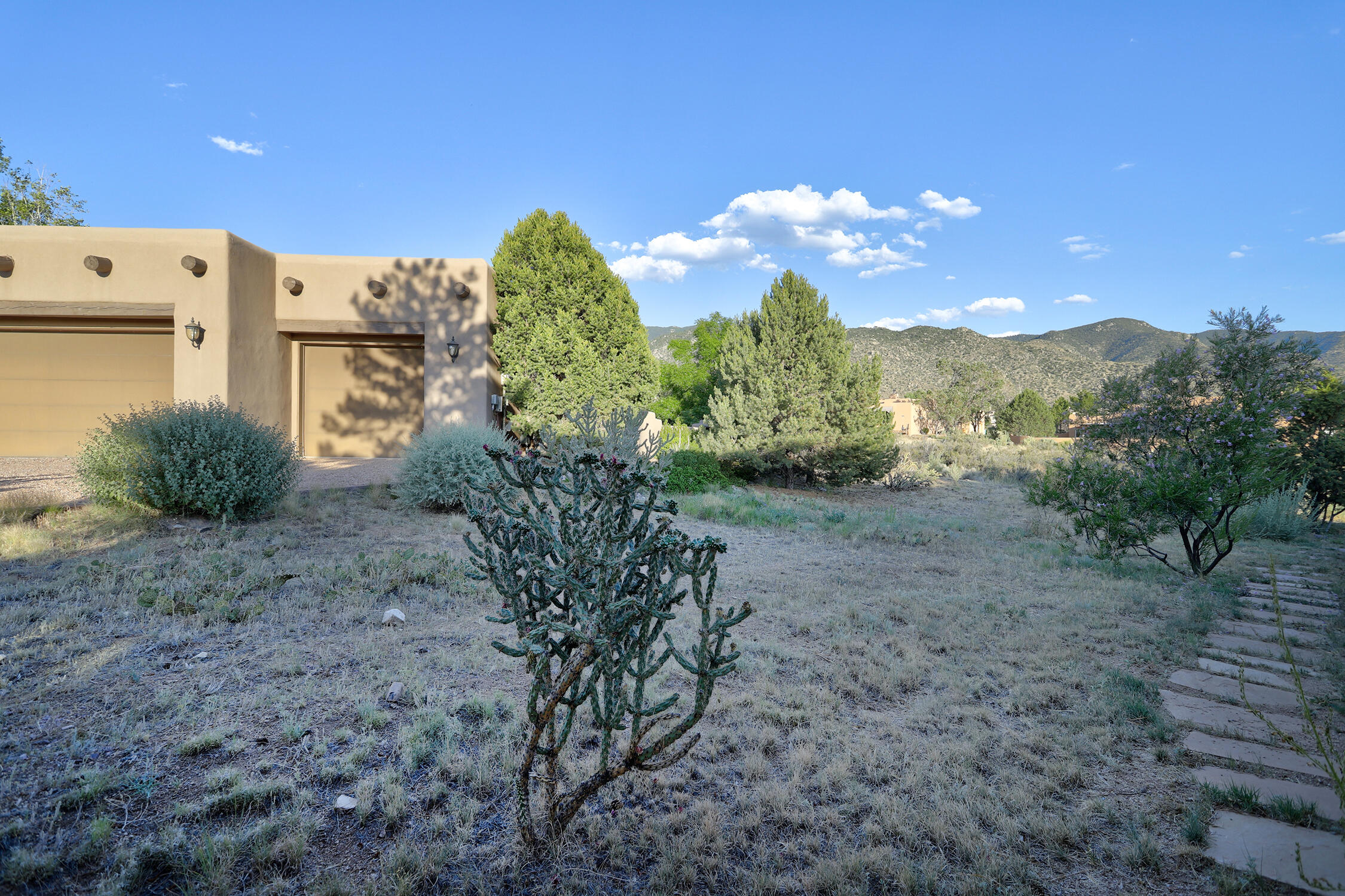 13504 Desert Zinnia Court NE