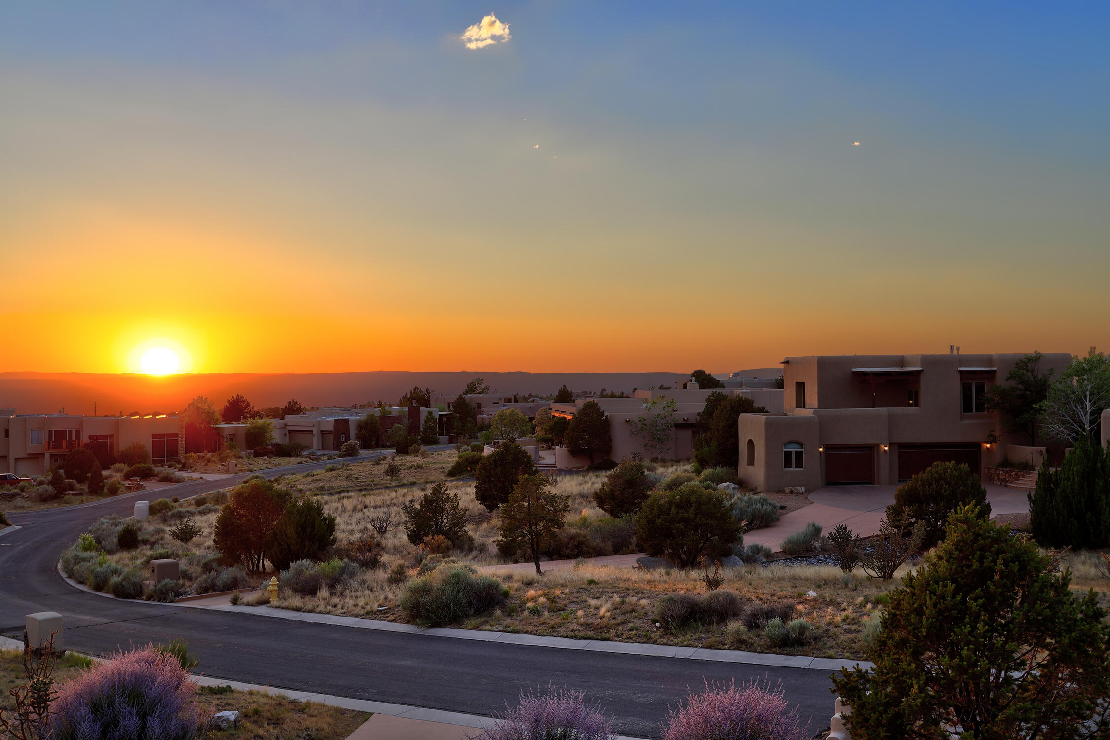 13504 Desert Zinnia Court NE