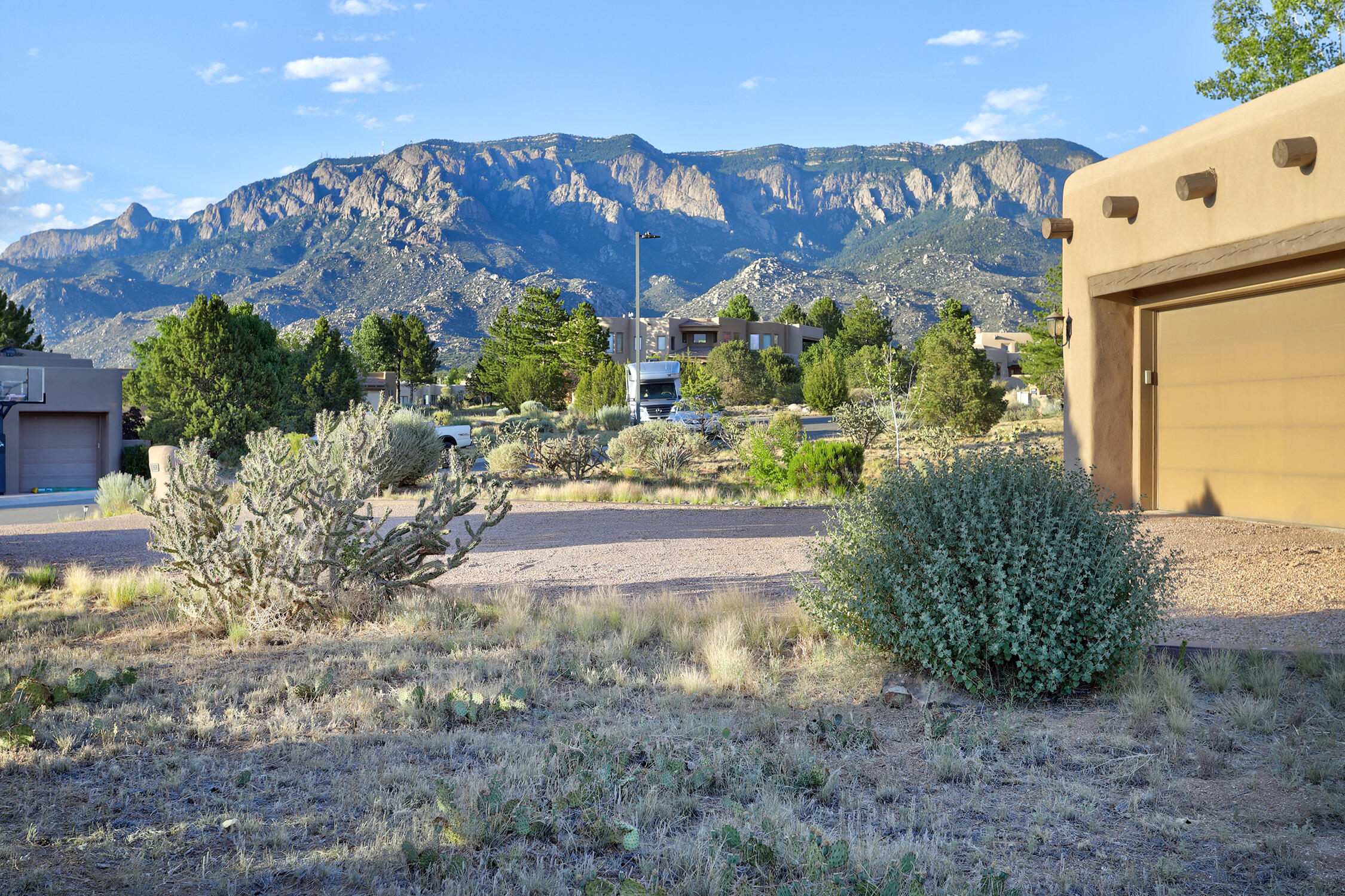 13504 Desert Zinnia Court NE