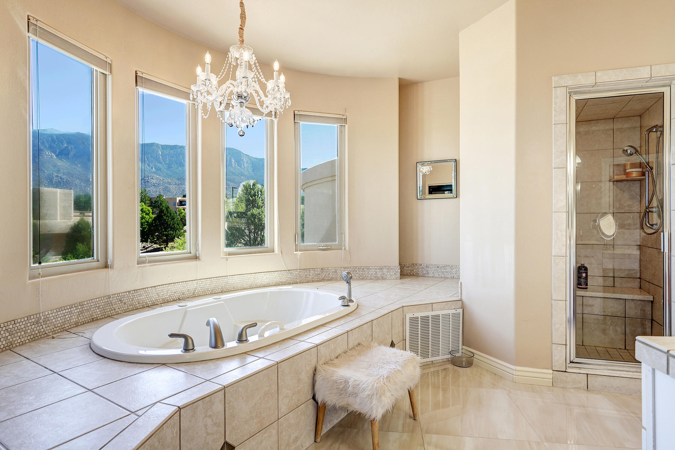 13504 Desert Zinnia Court NE