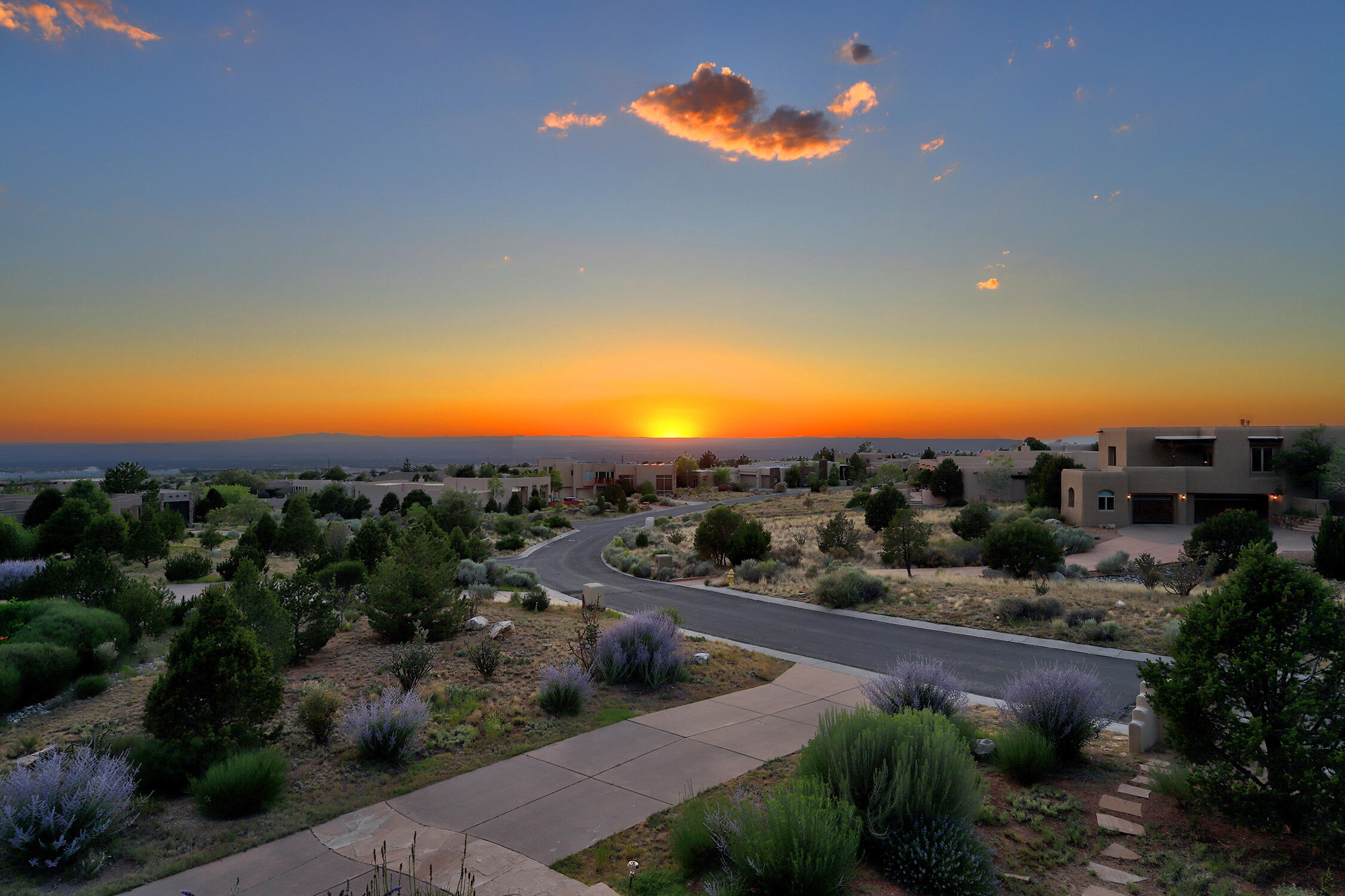 13504 Desert Zinnia Court NE