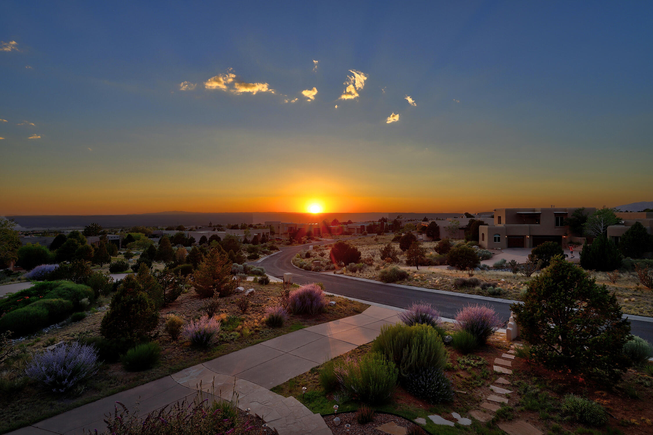 13504 Desert Zinnia Court NE