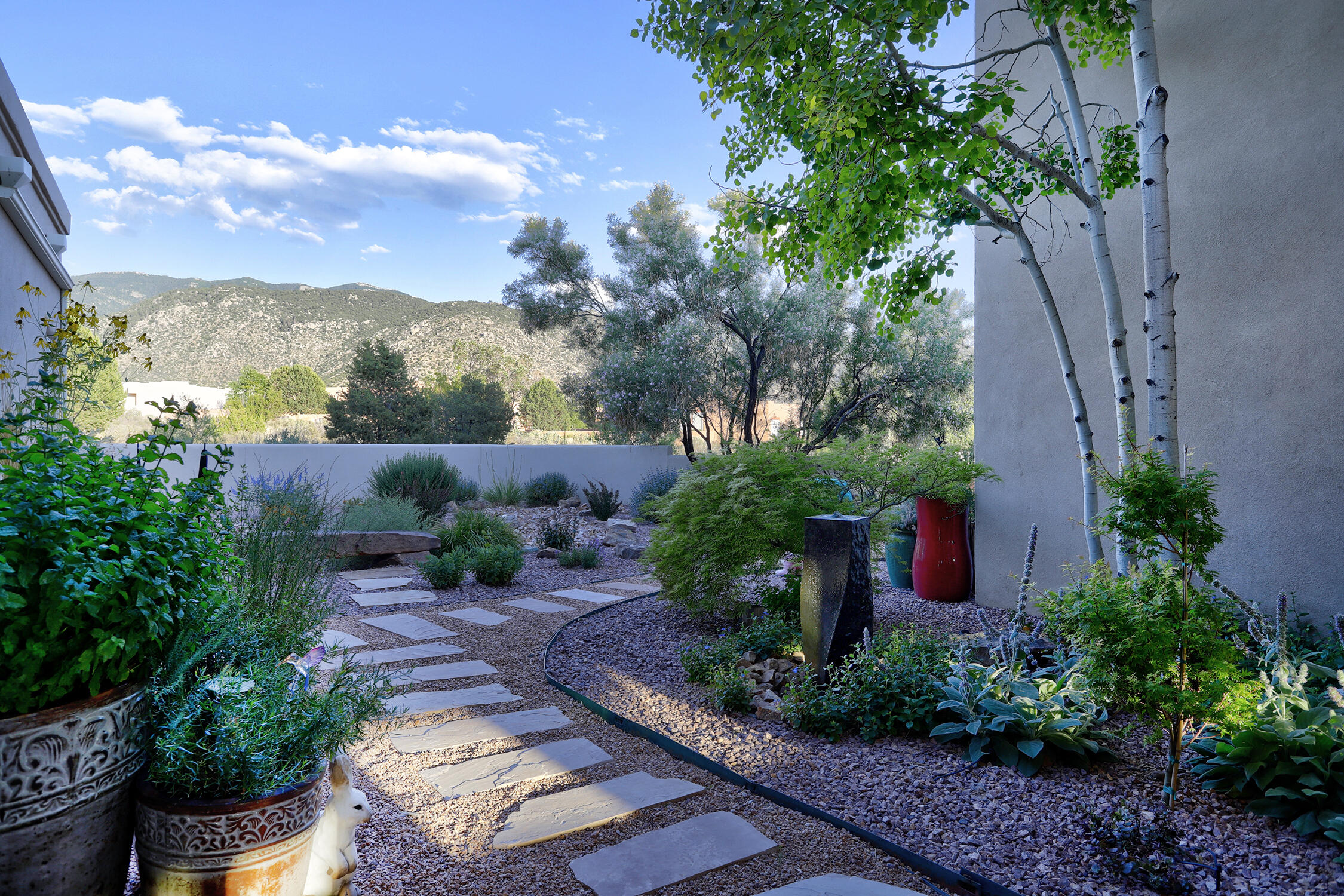 13504 Desert Zinnia Court NE