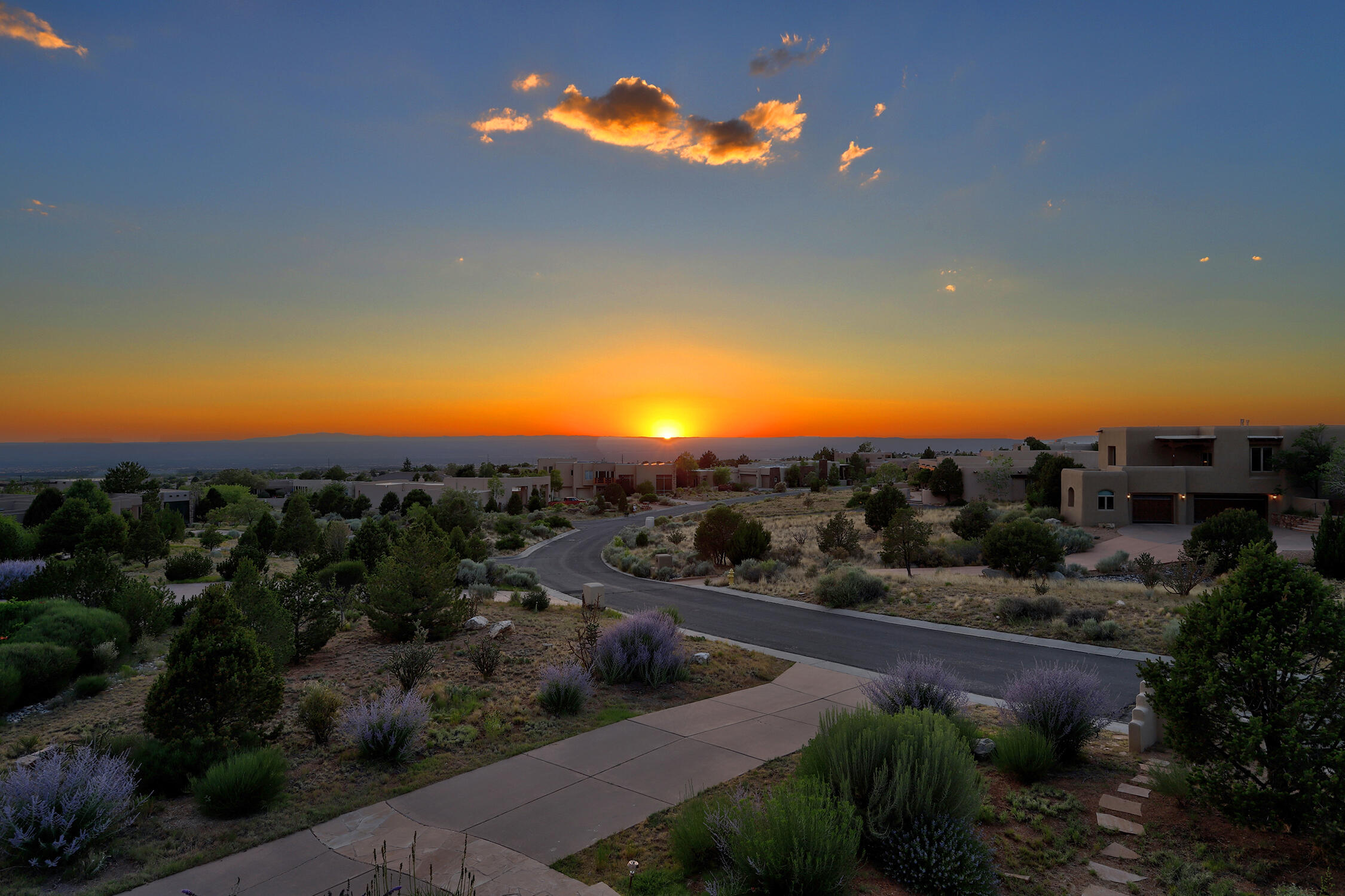 13504 Desert Zinnia Court NE