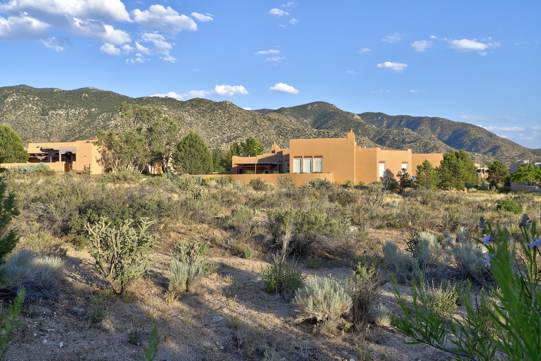 13504 Desert Zinnia Court NE