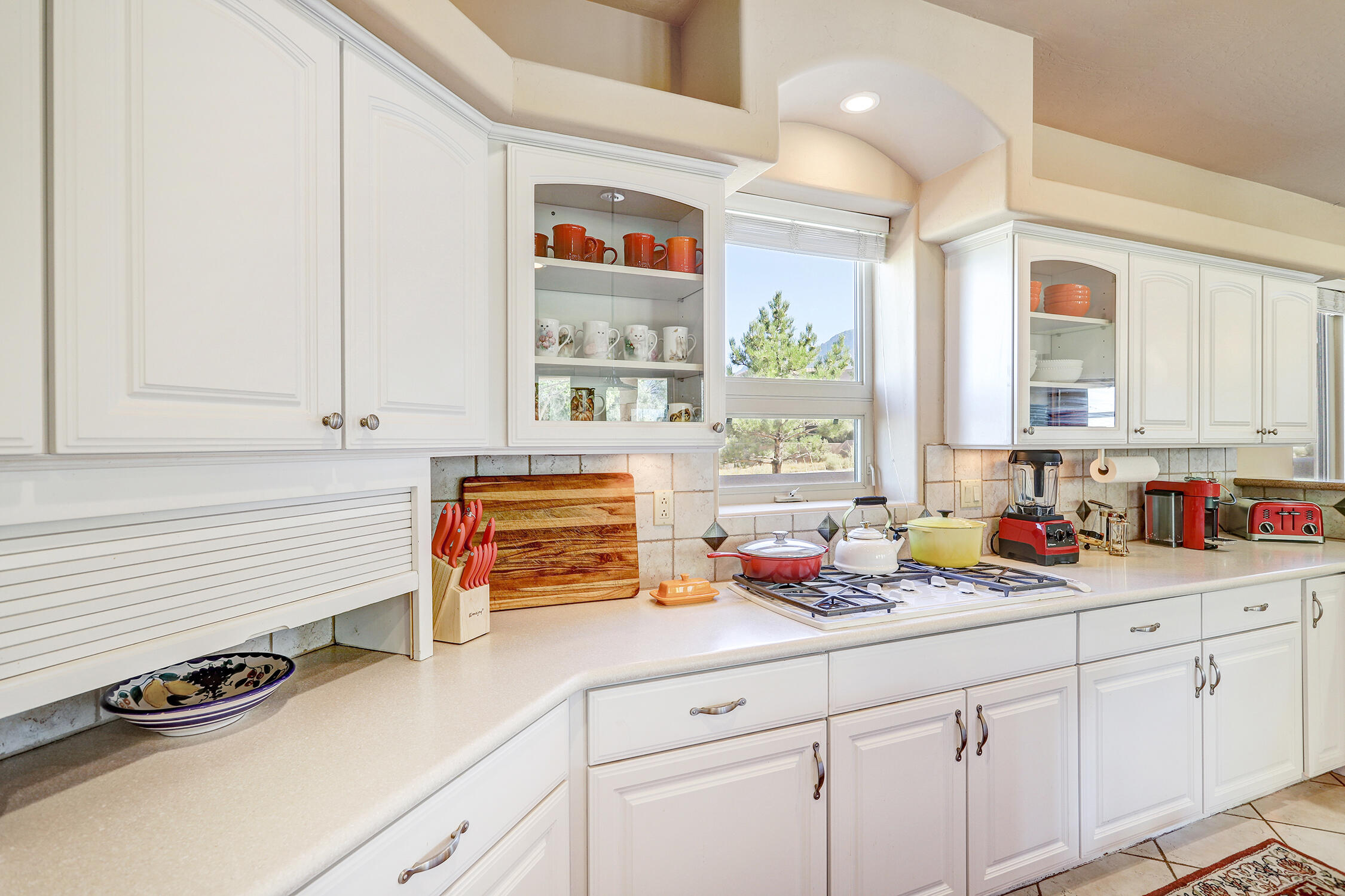 13504 Desert Zinnia Court NE