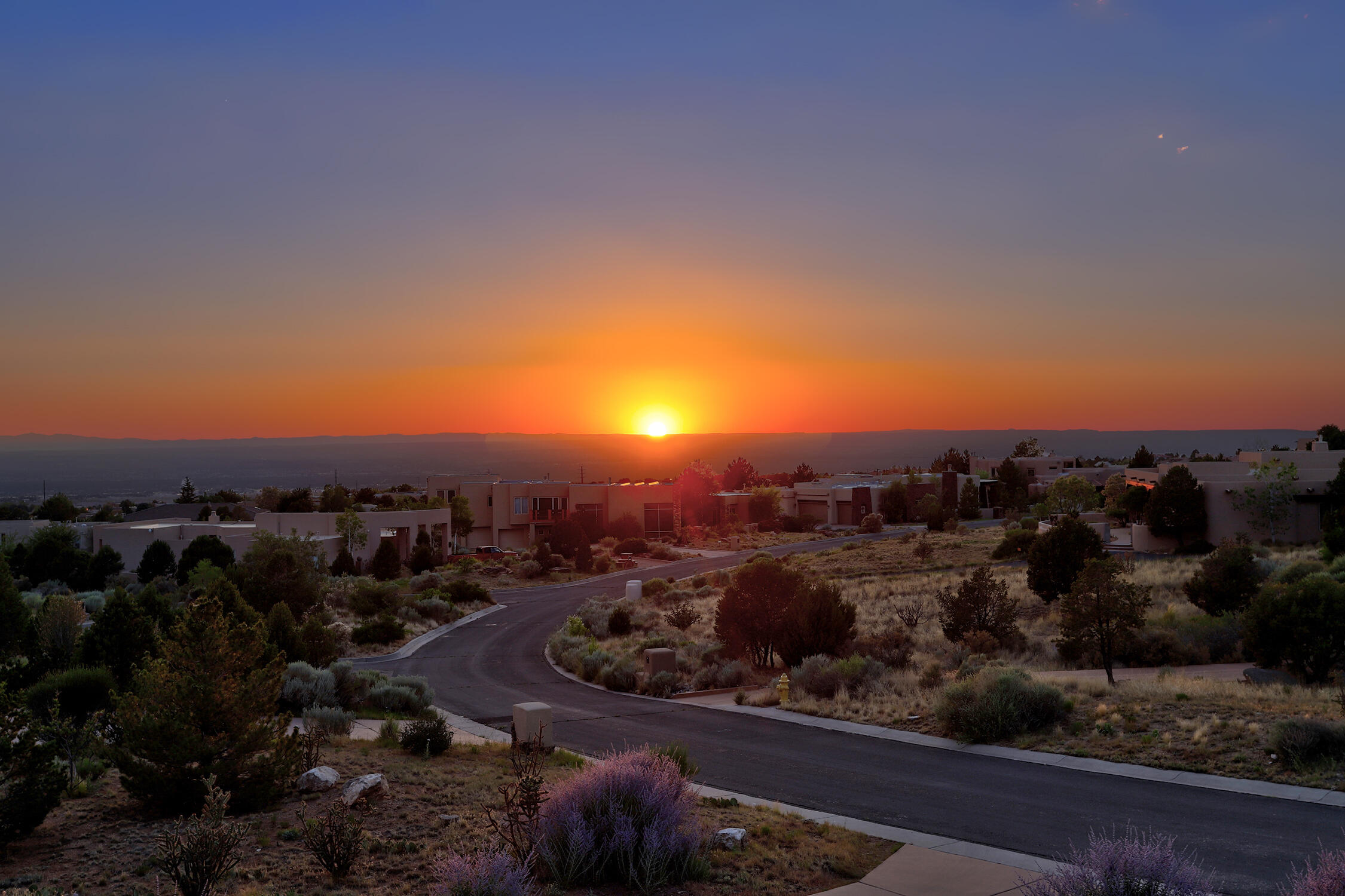 13504 Desert Zinnia Court NE