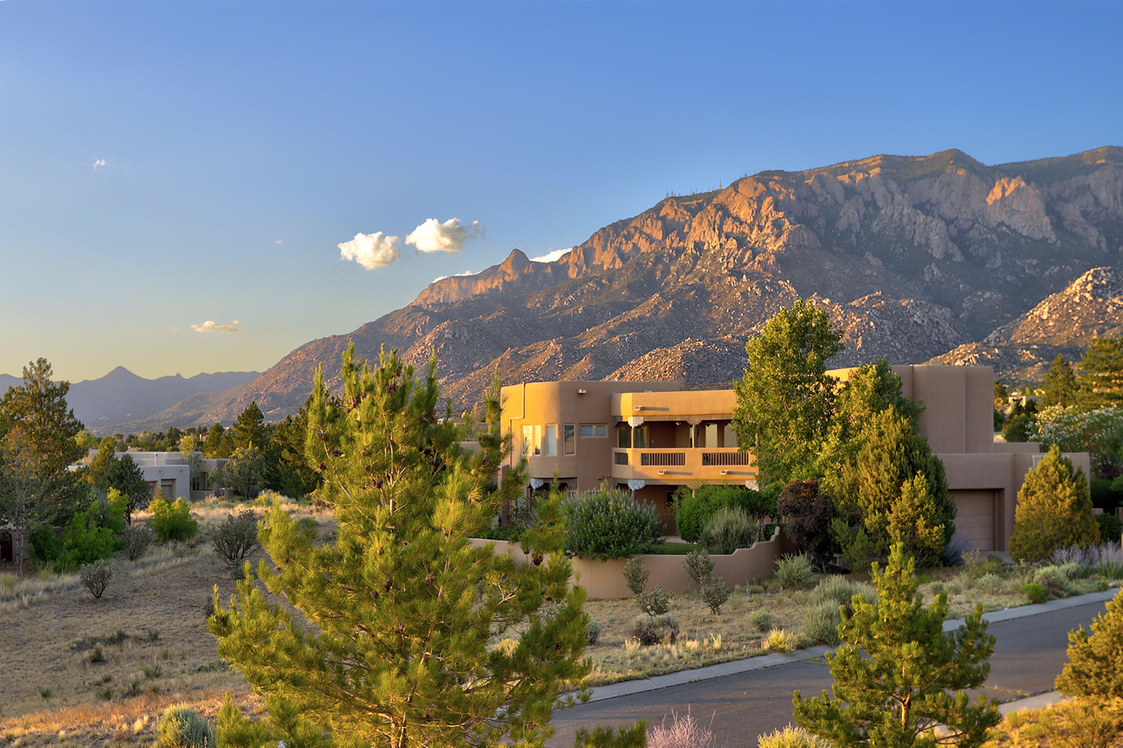 13504 Desert Zinnia Court NE