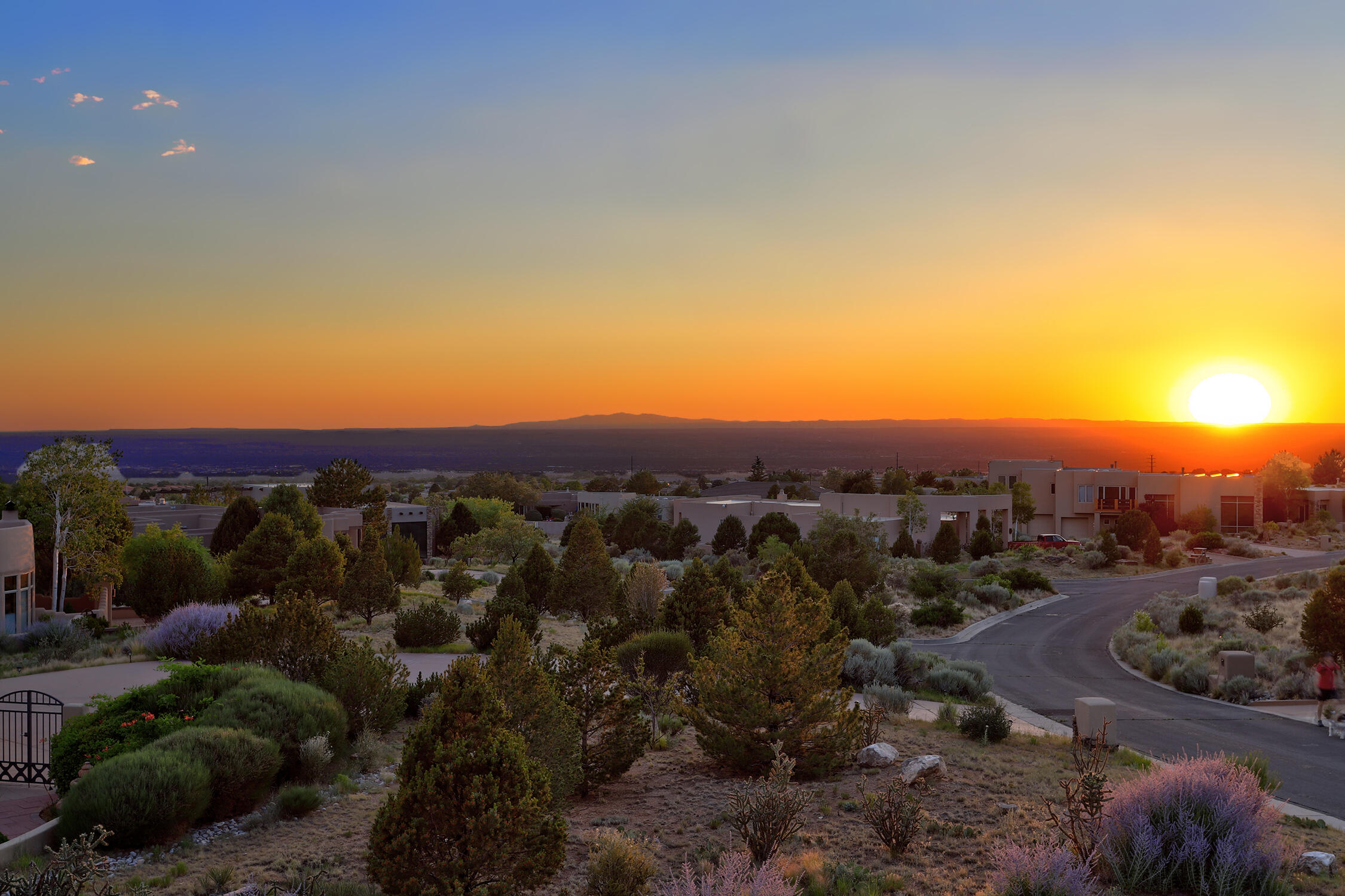 13504 Desert Zinnia Court NE