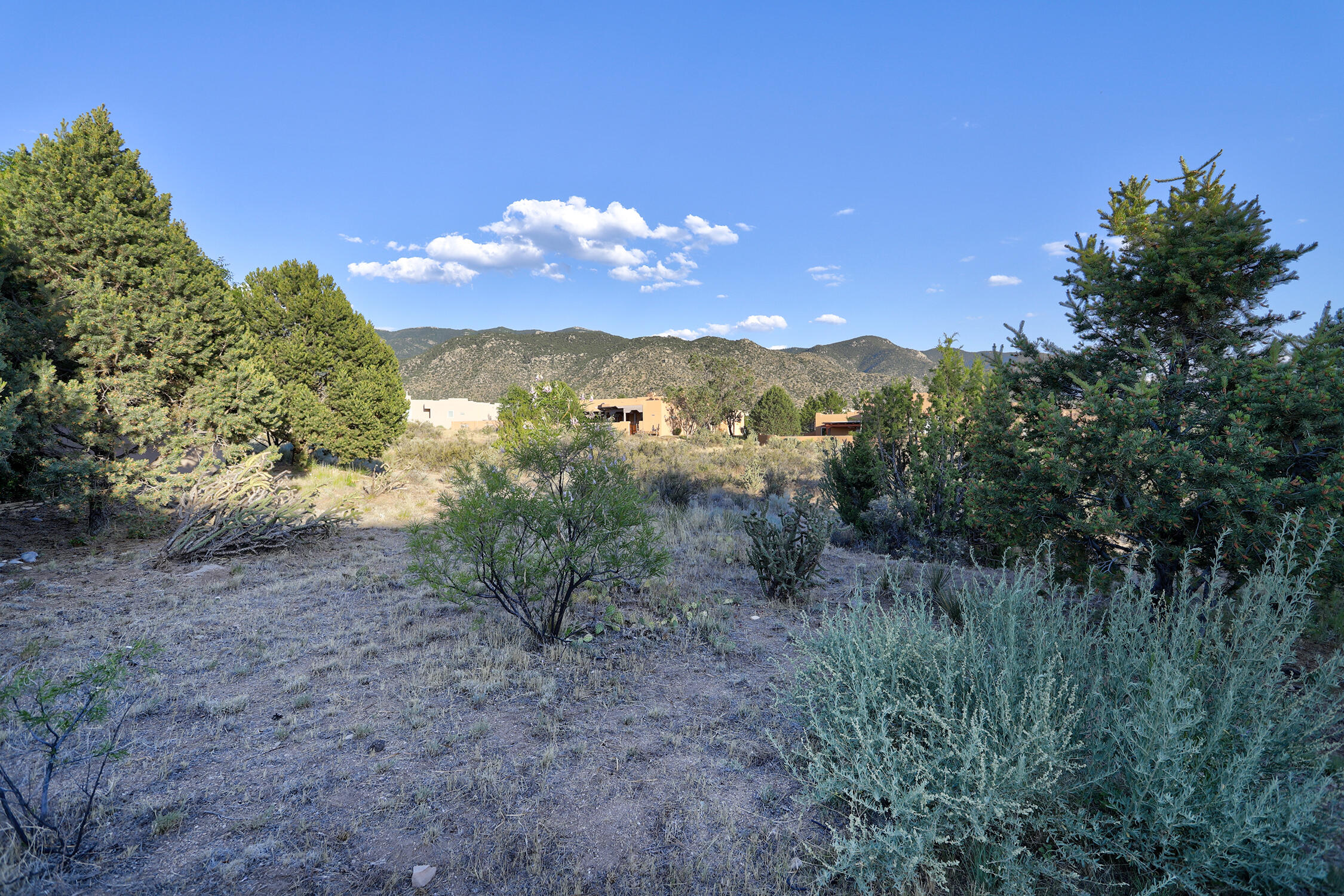 13504 Desert Zinnia Court NE