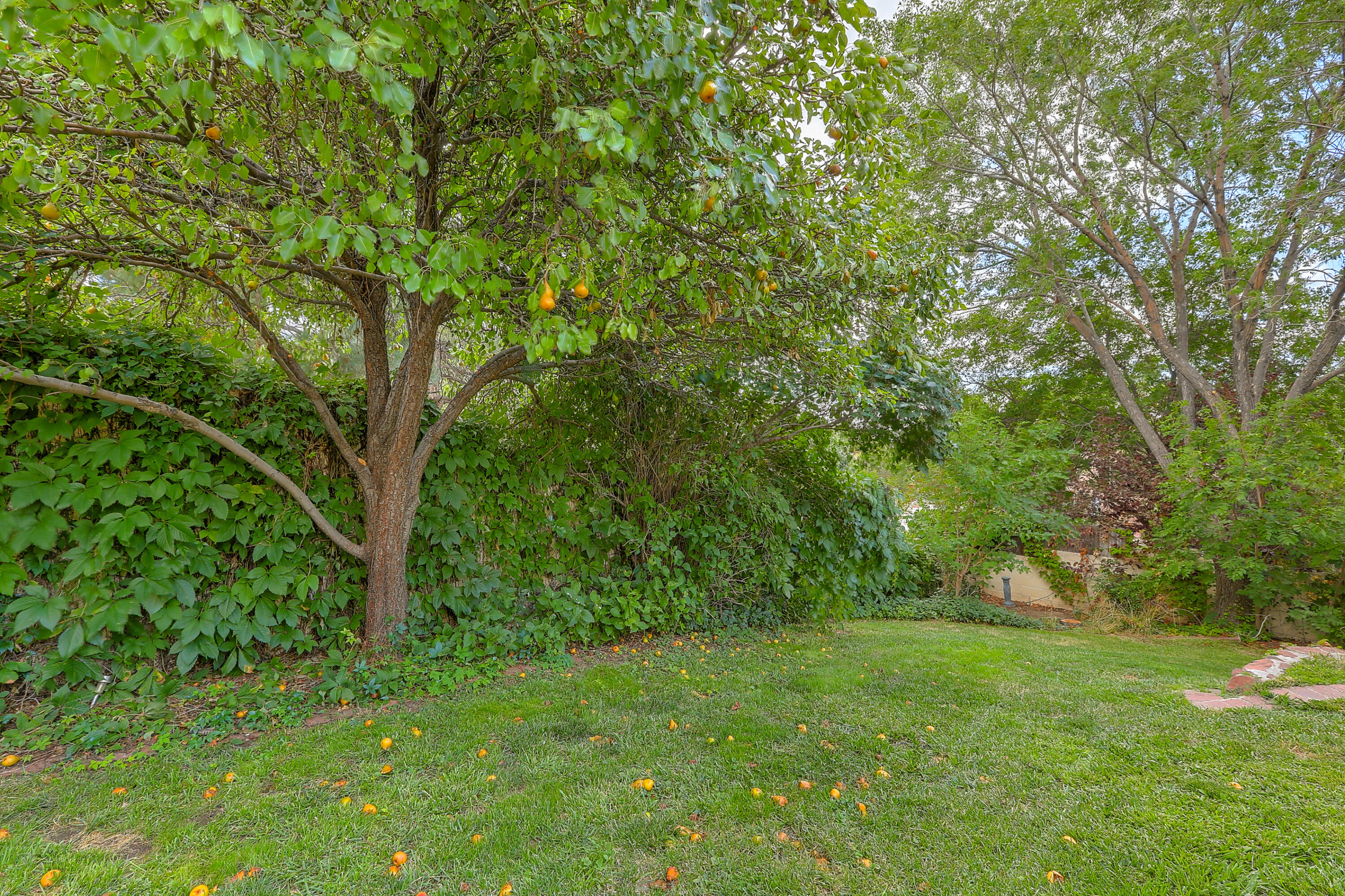 5901 Royal Oak Drive NE