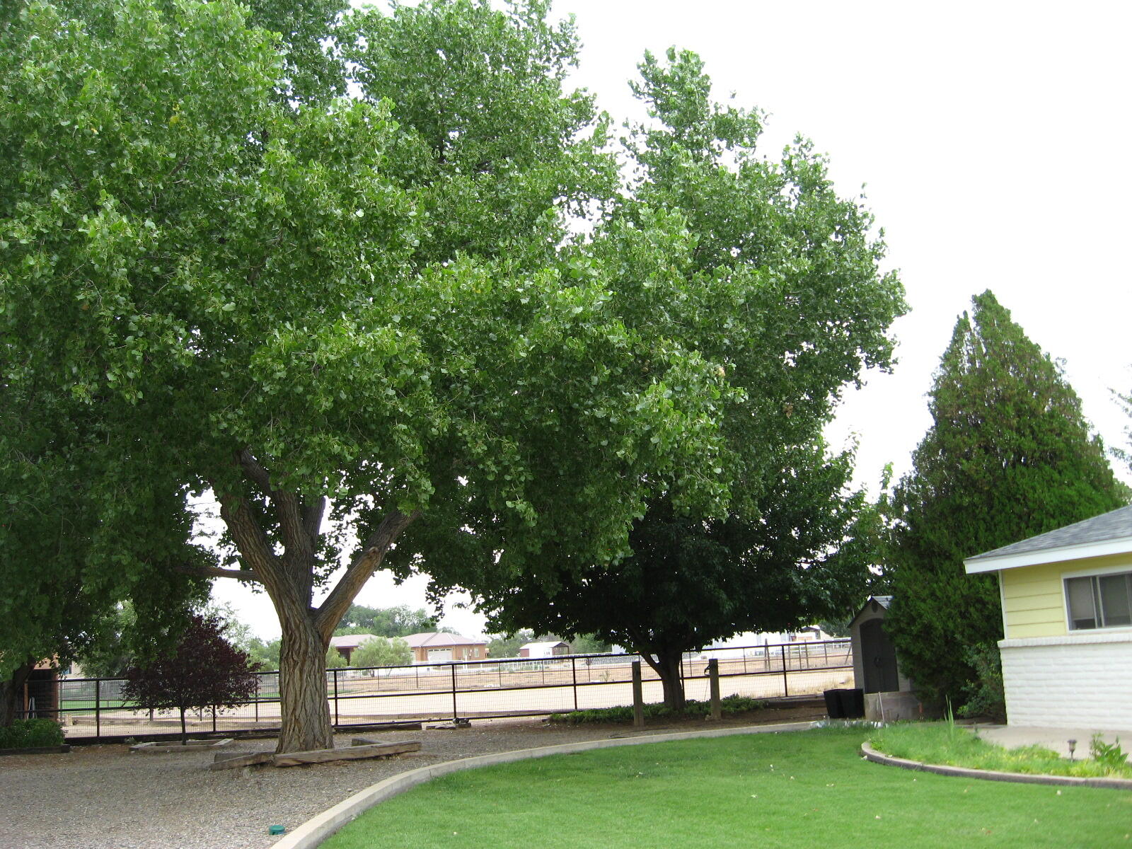 430 Abo Road