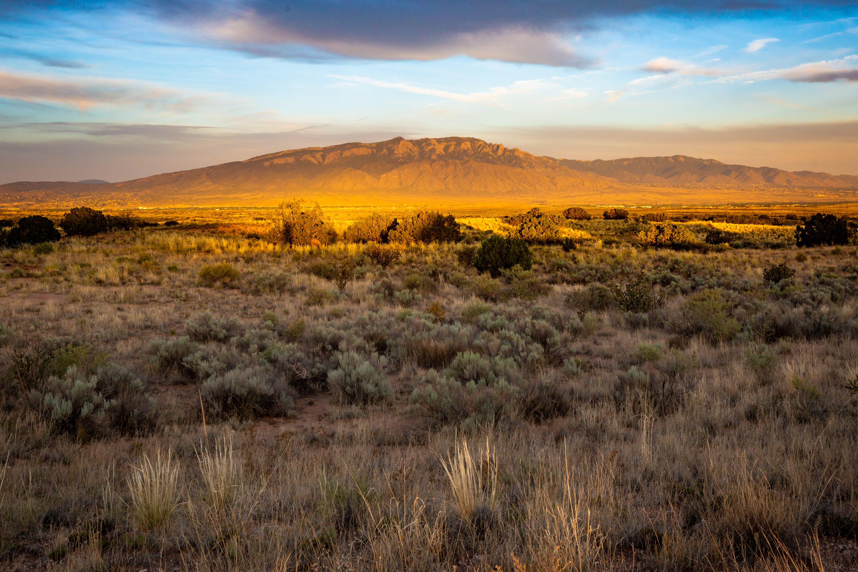1954 Castle Peak Loop NE