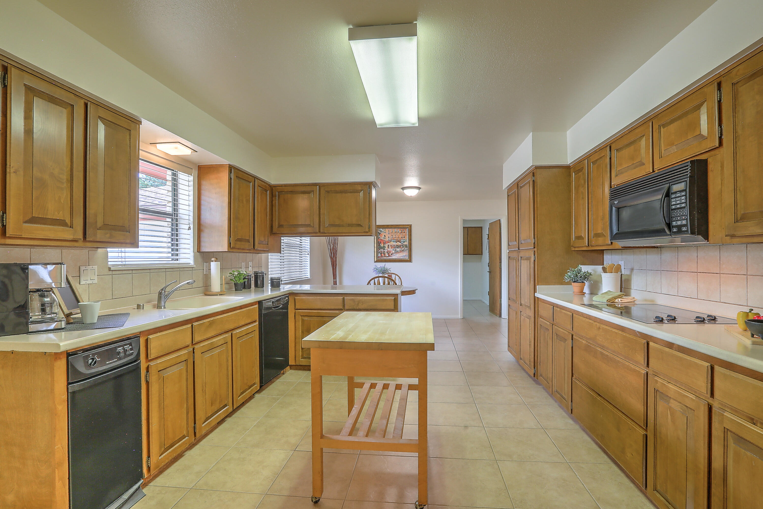 1337 Hertz Drive SE