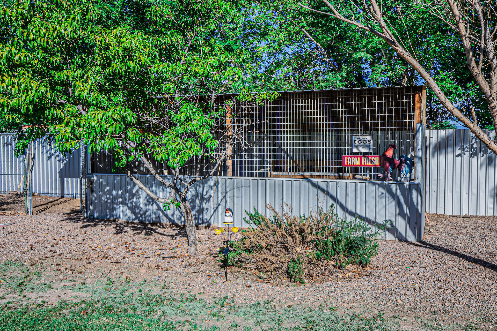 14 Carrejo Lane