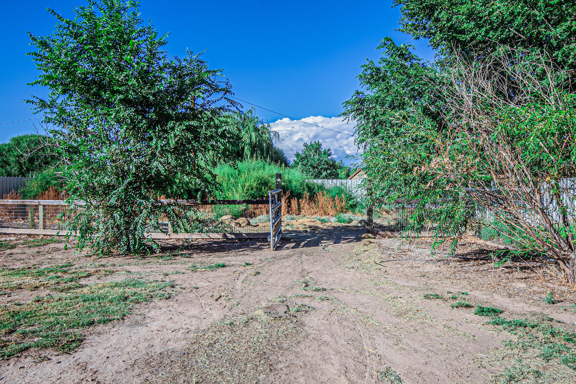14 Carrejo Lane