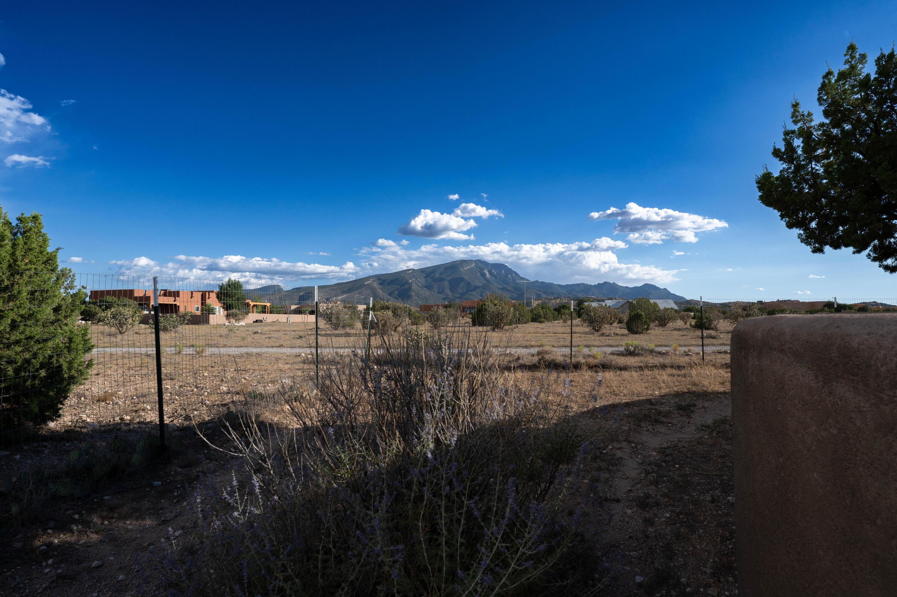 4 Llano Sendero