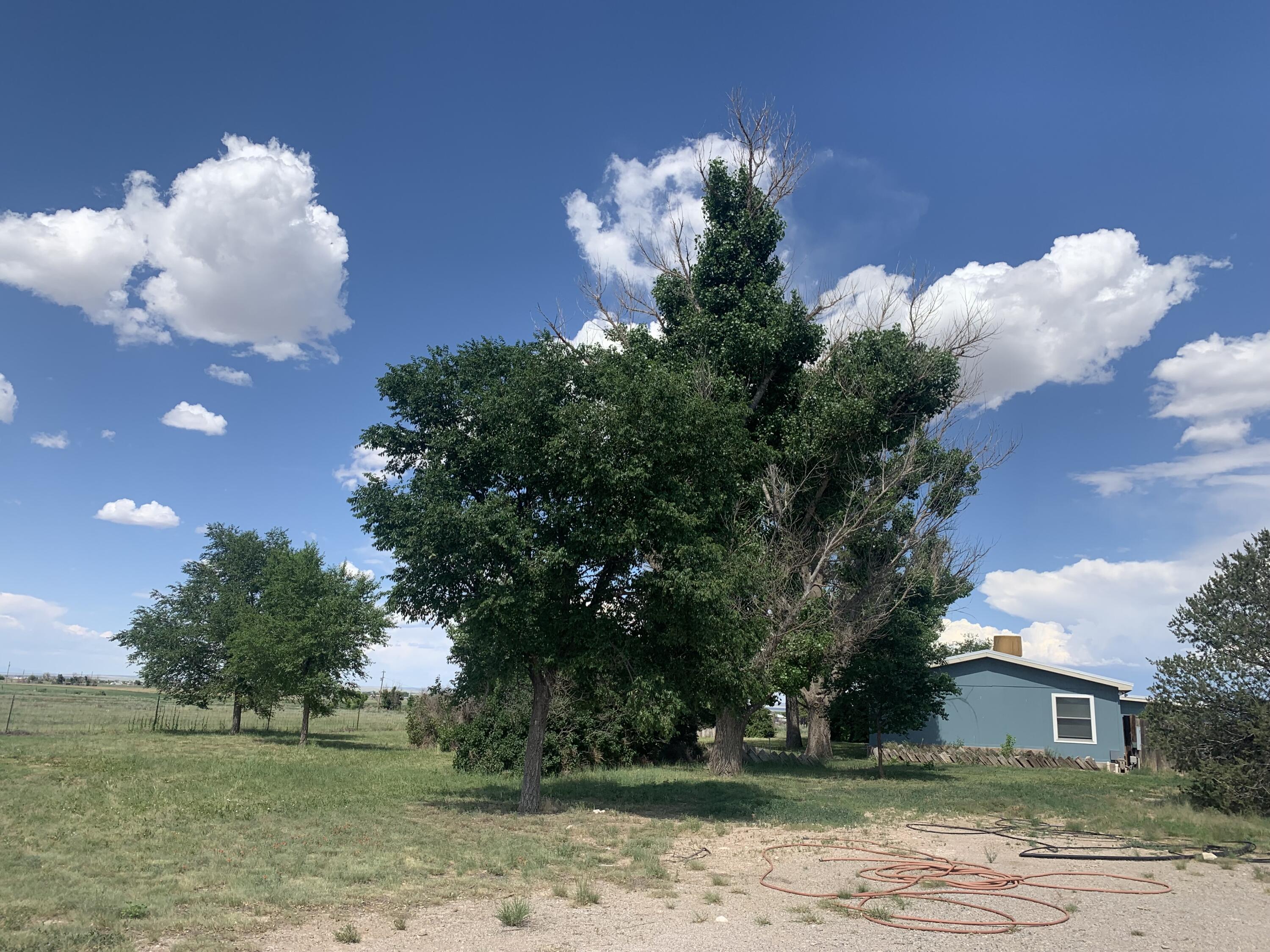 69 Irving Drive