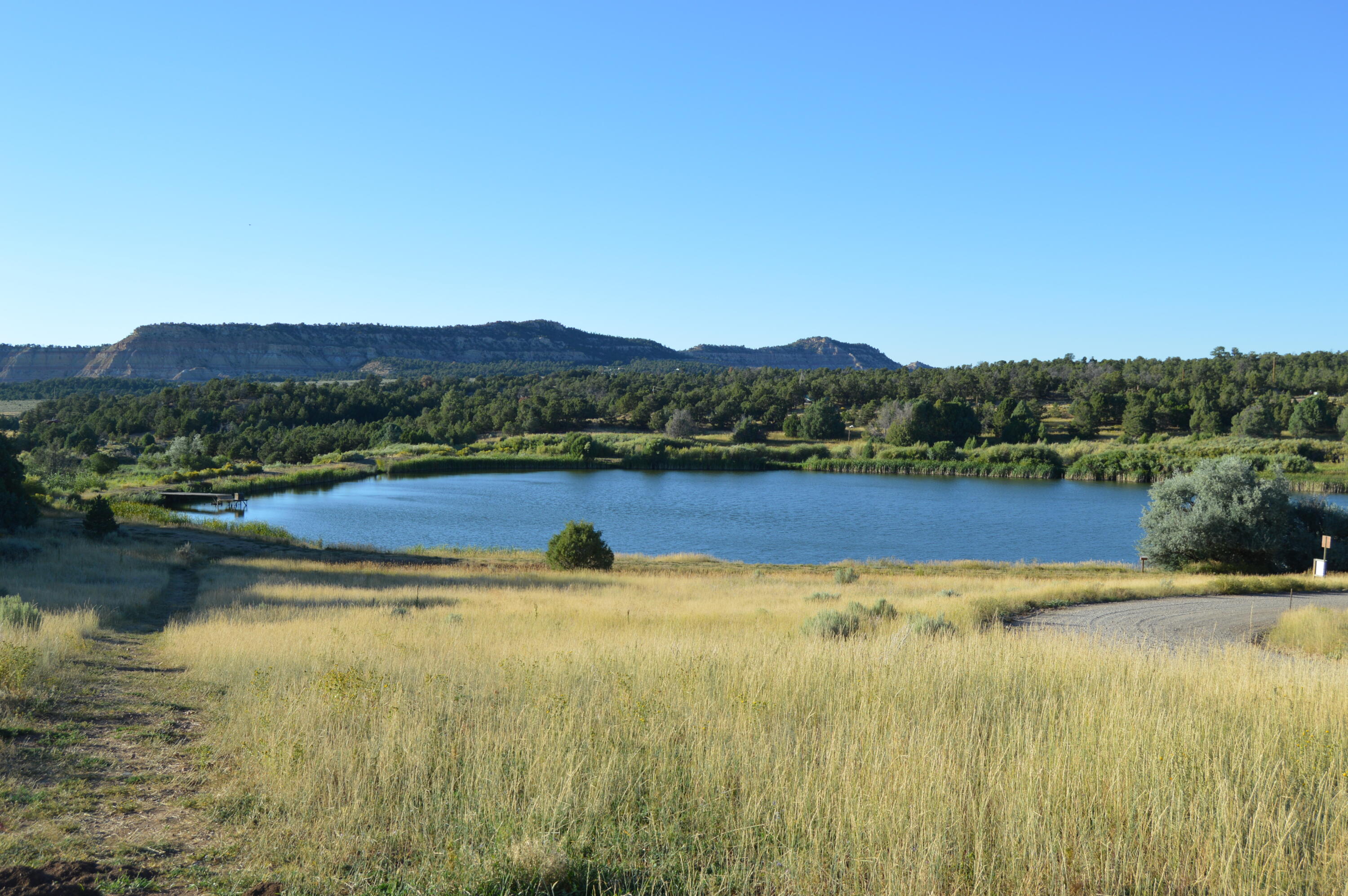 260 Jicariila Trail