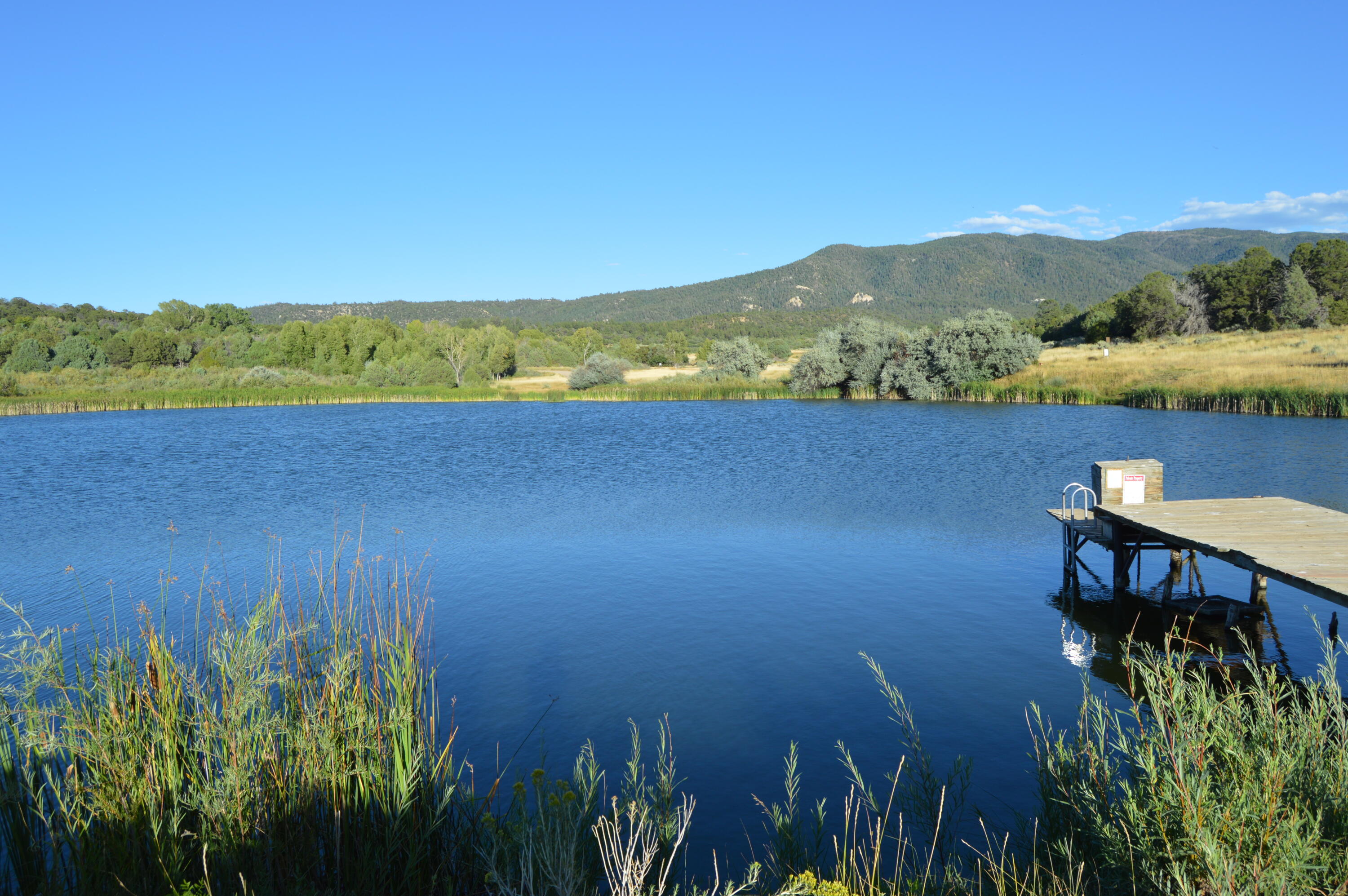 260 Jicariila Trail