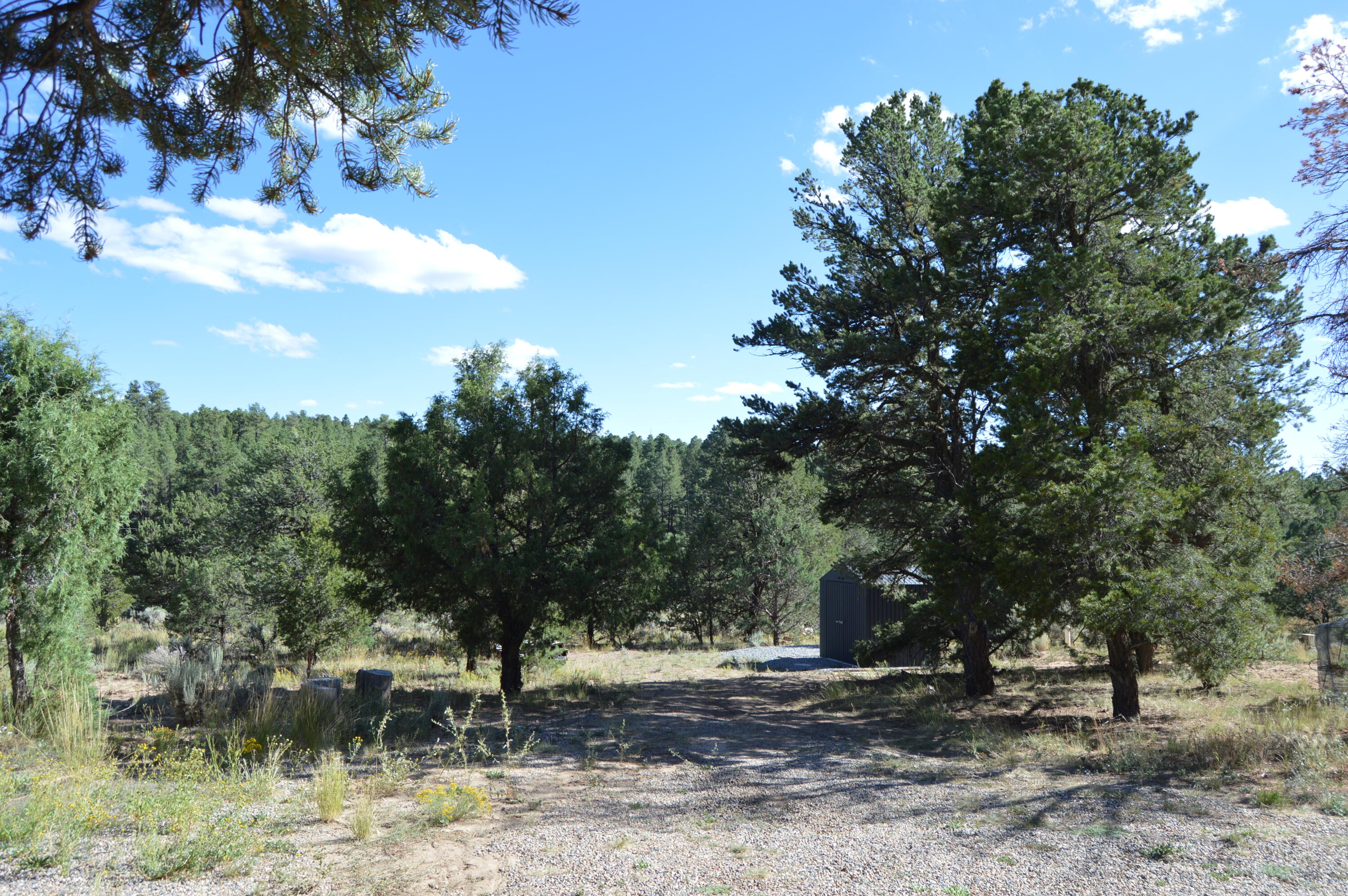 260 Jicariila Trail