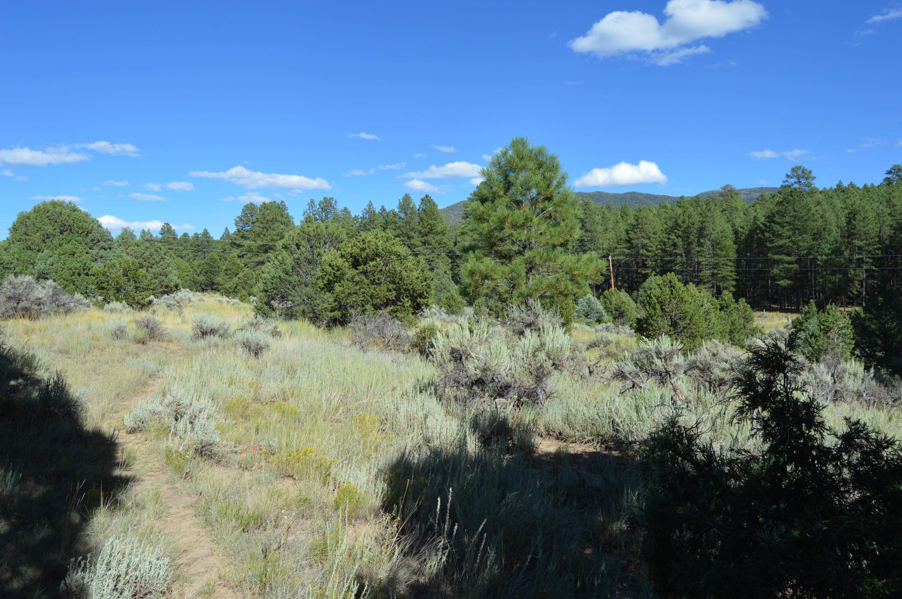 260 Jicariila Trail