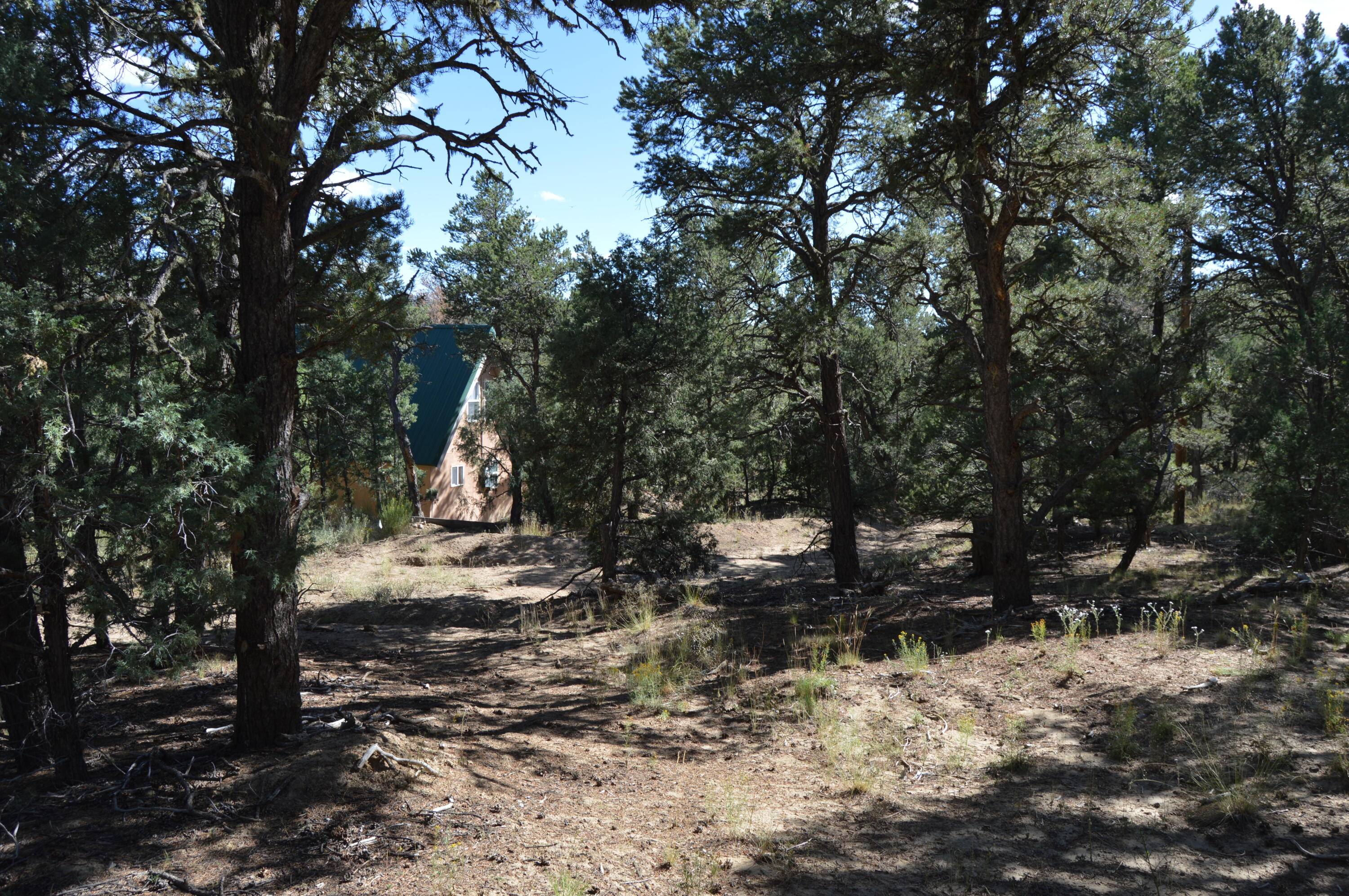 260 Jicariila Trail