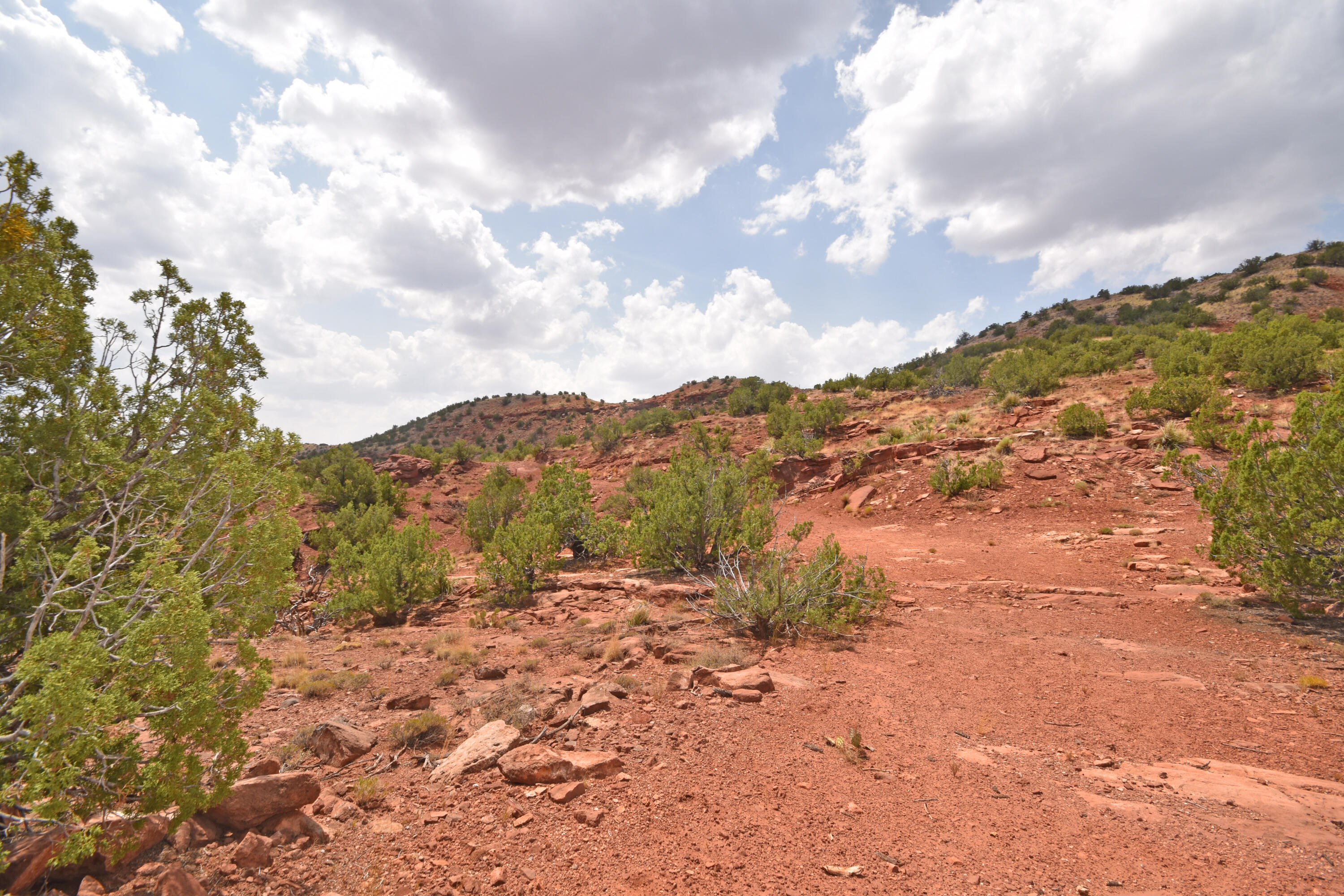 Lot 21 Hwy 485