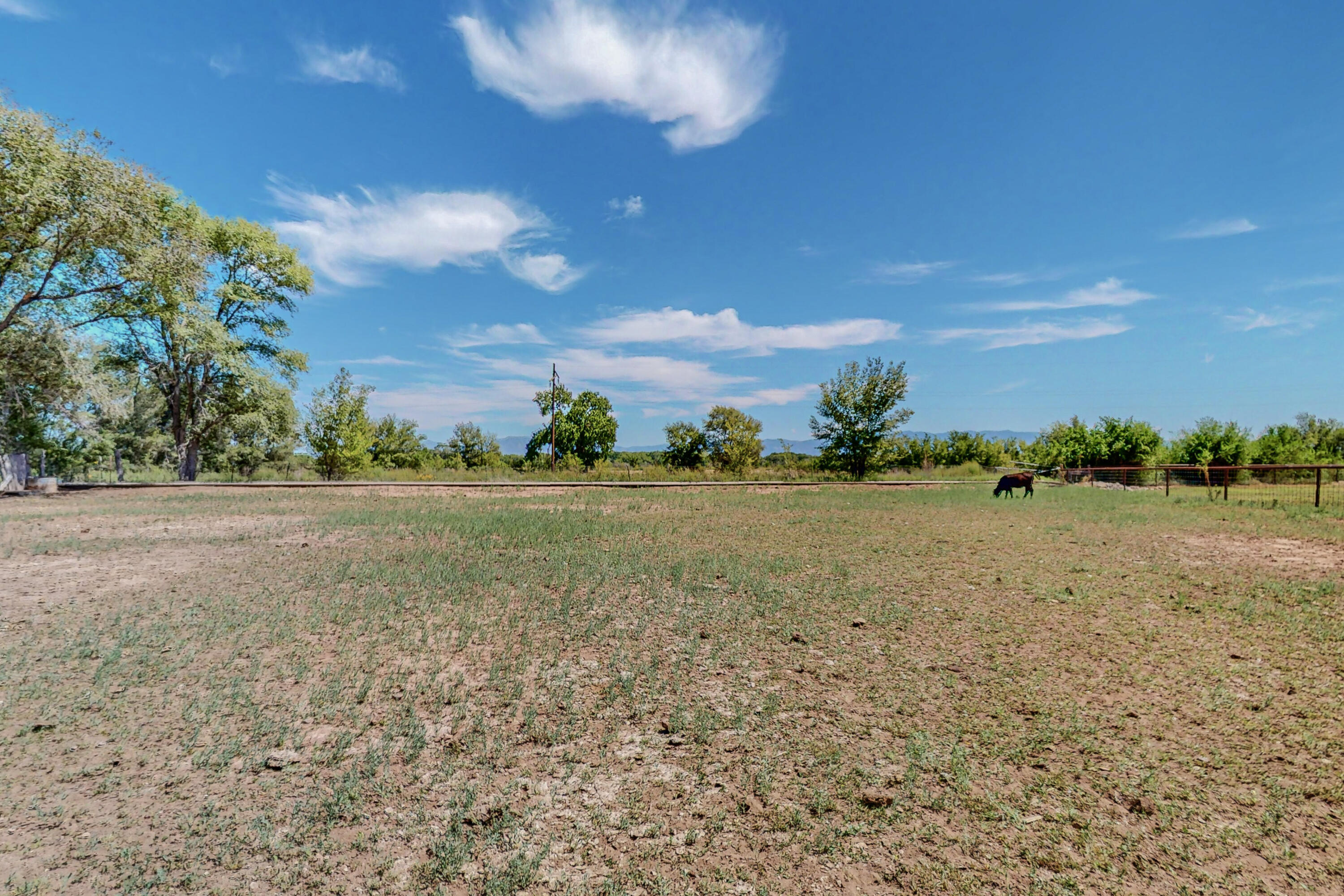 19499-B Highway 314