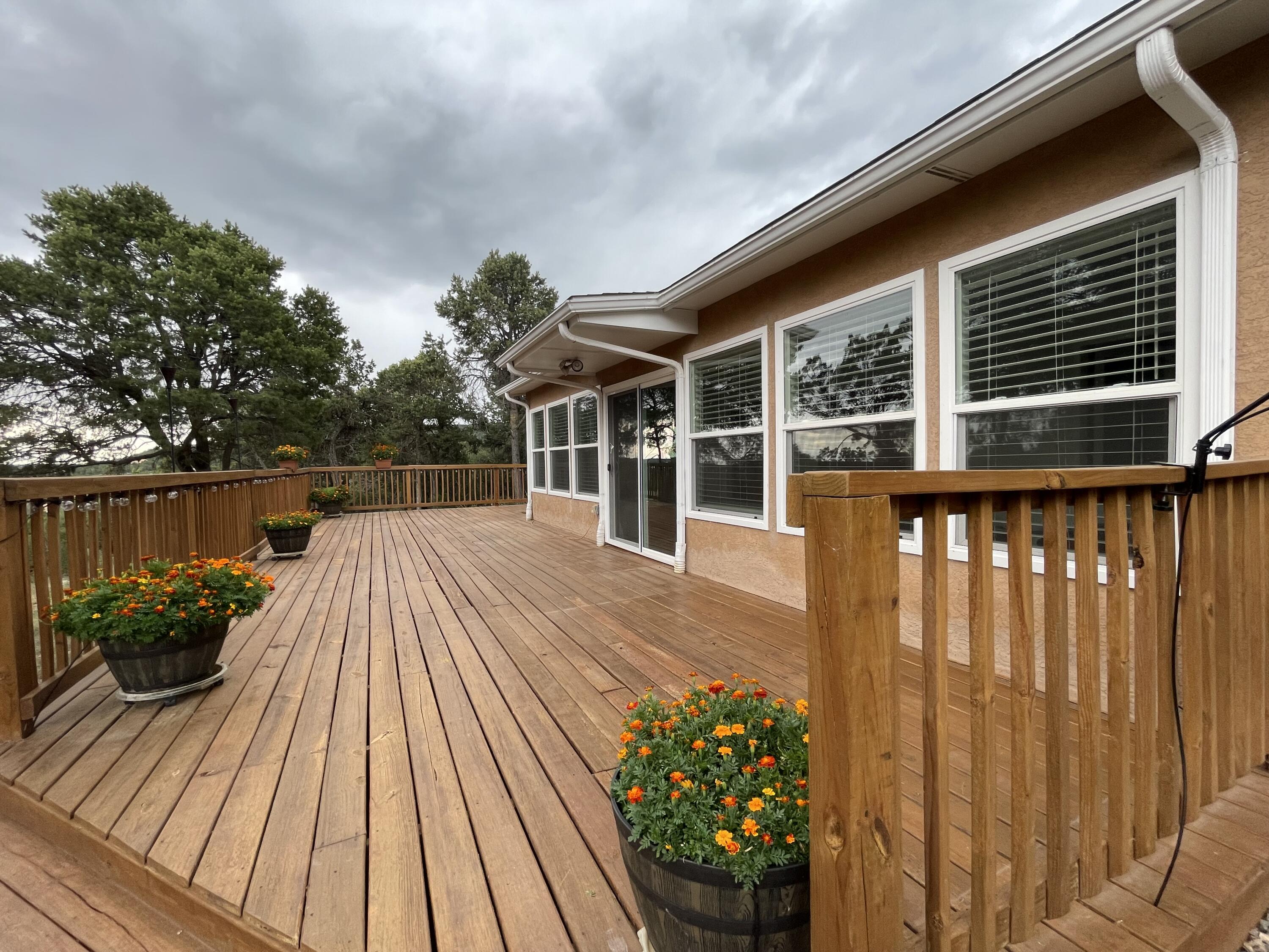 12 Futurity Place