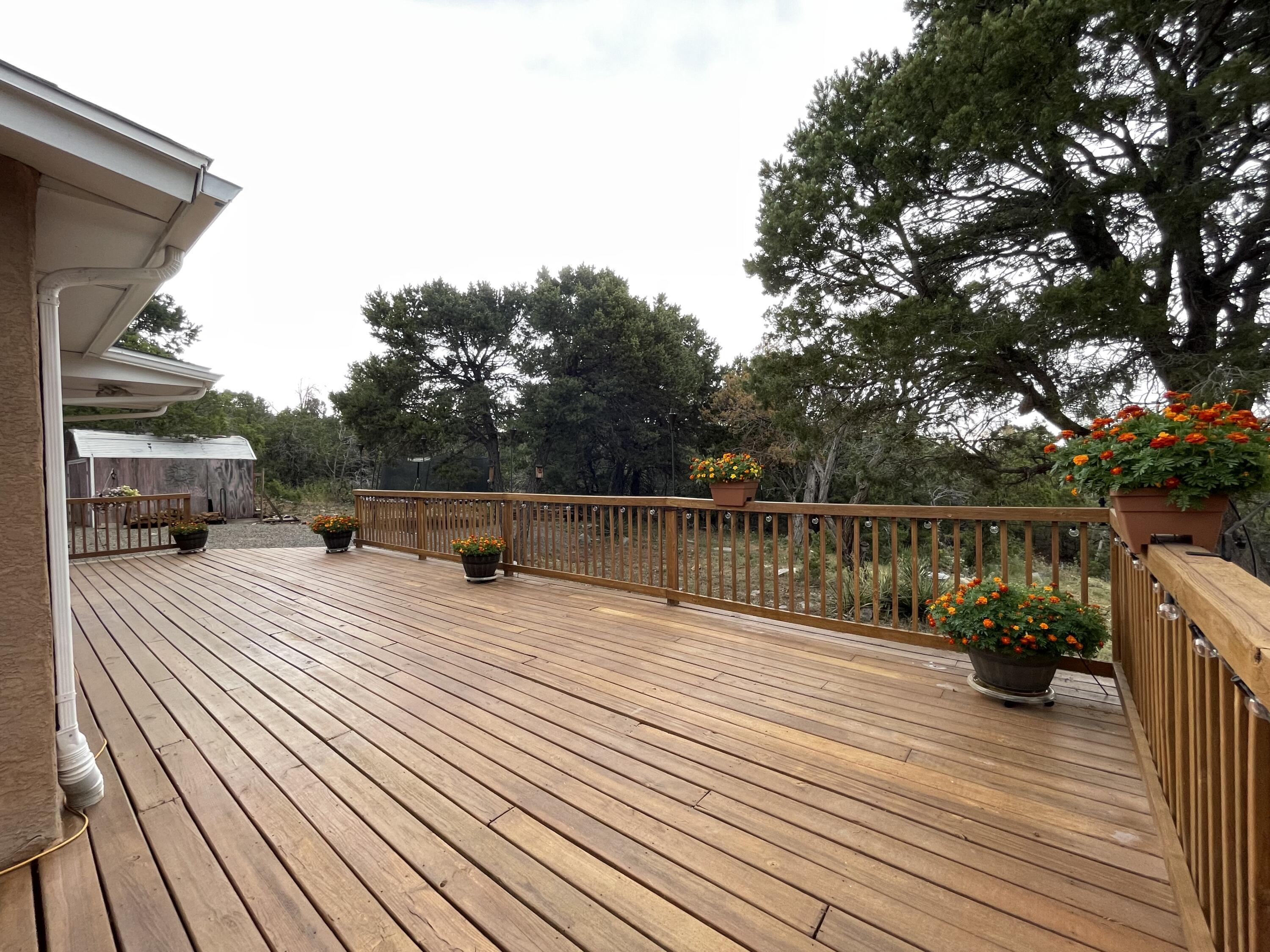 12 Futurity Place