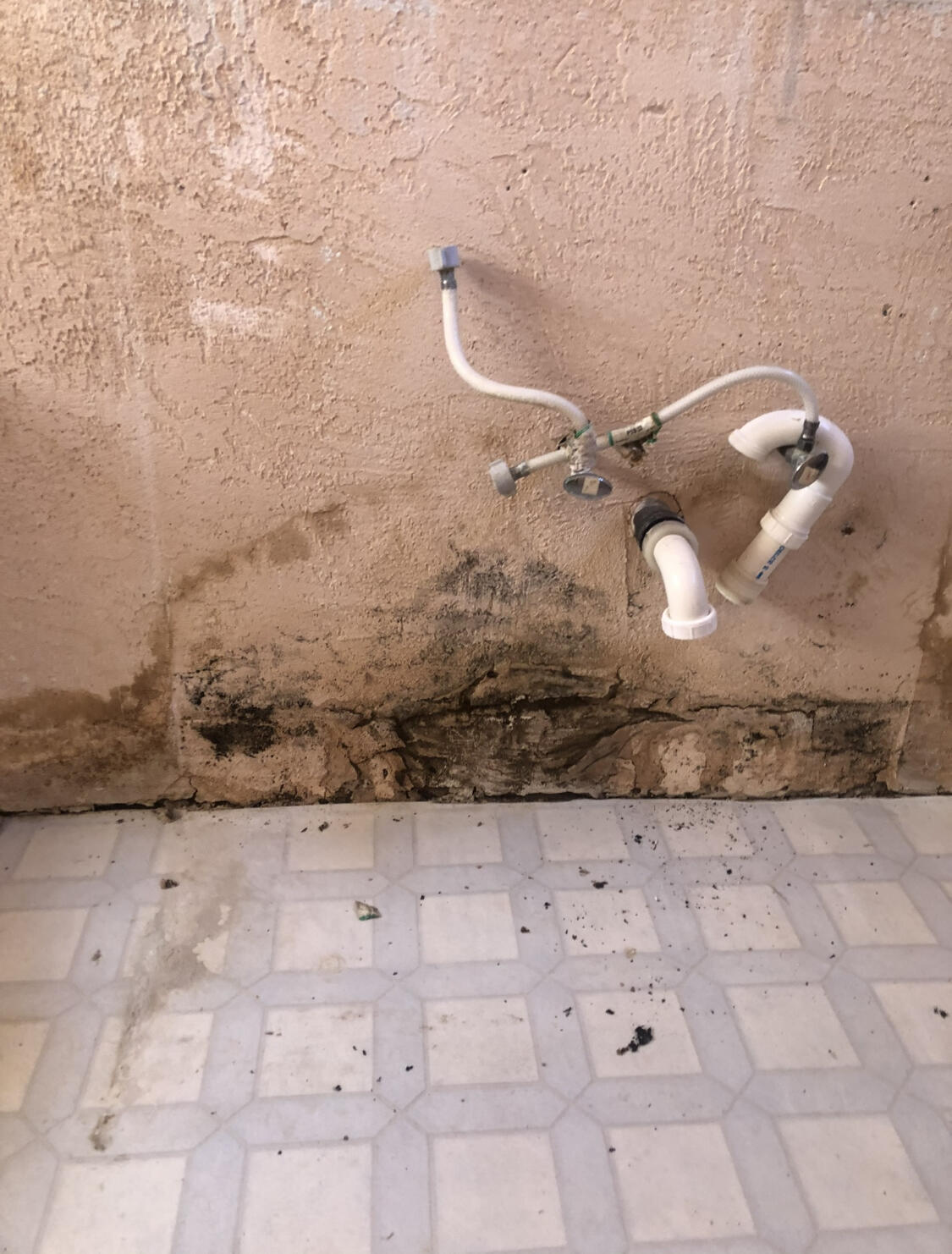 2184 Candelero Street
