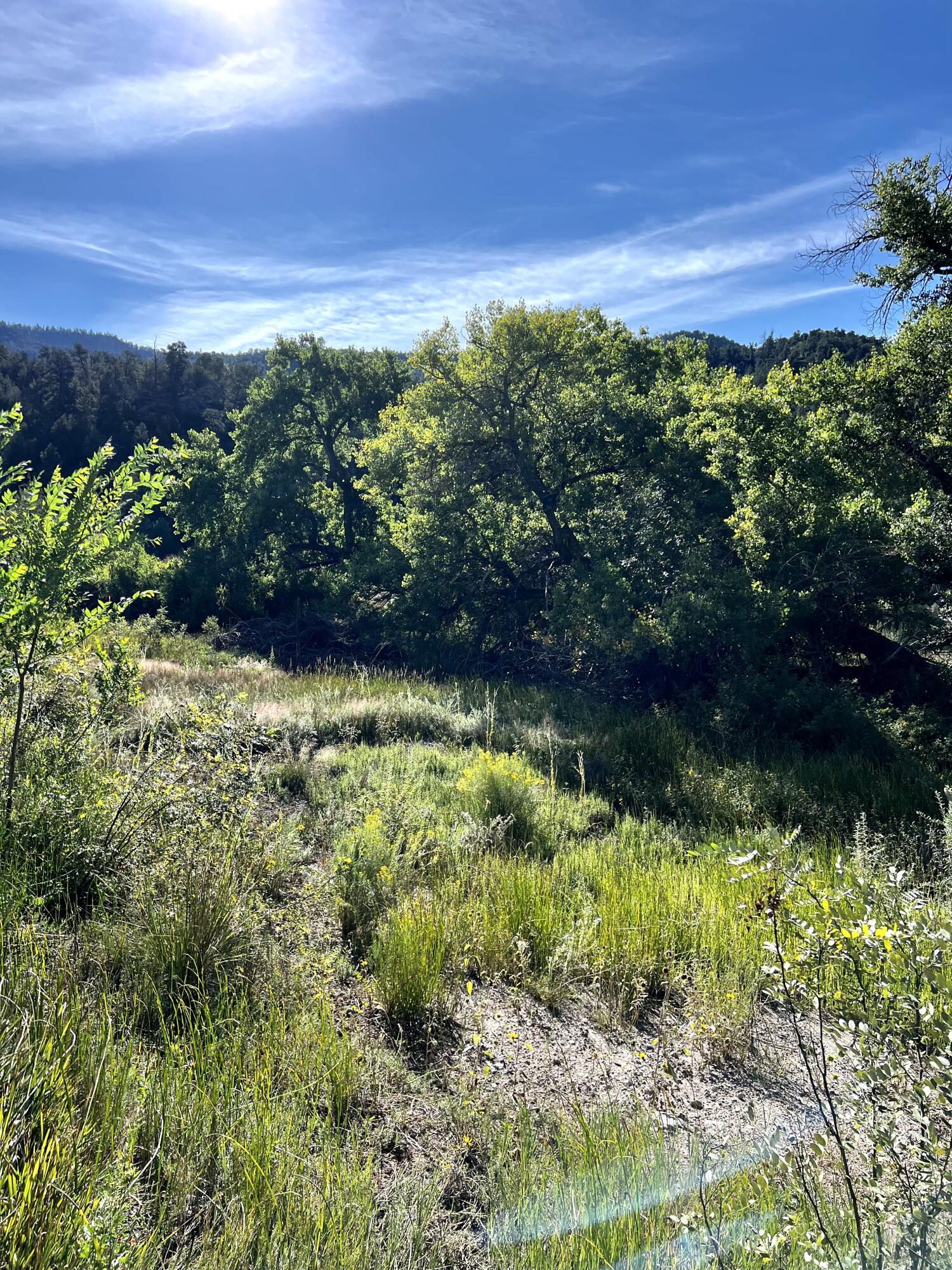 Highway 4 Lot - H