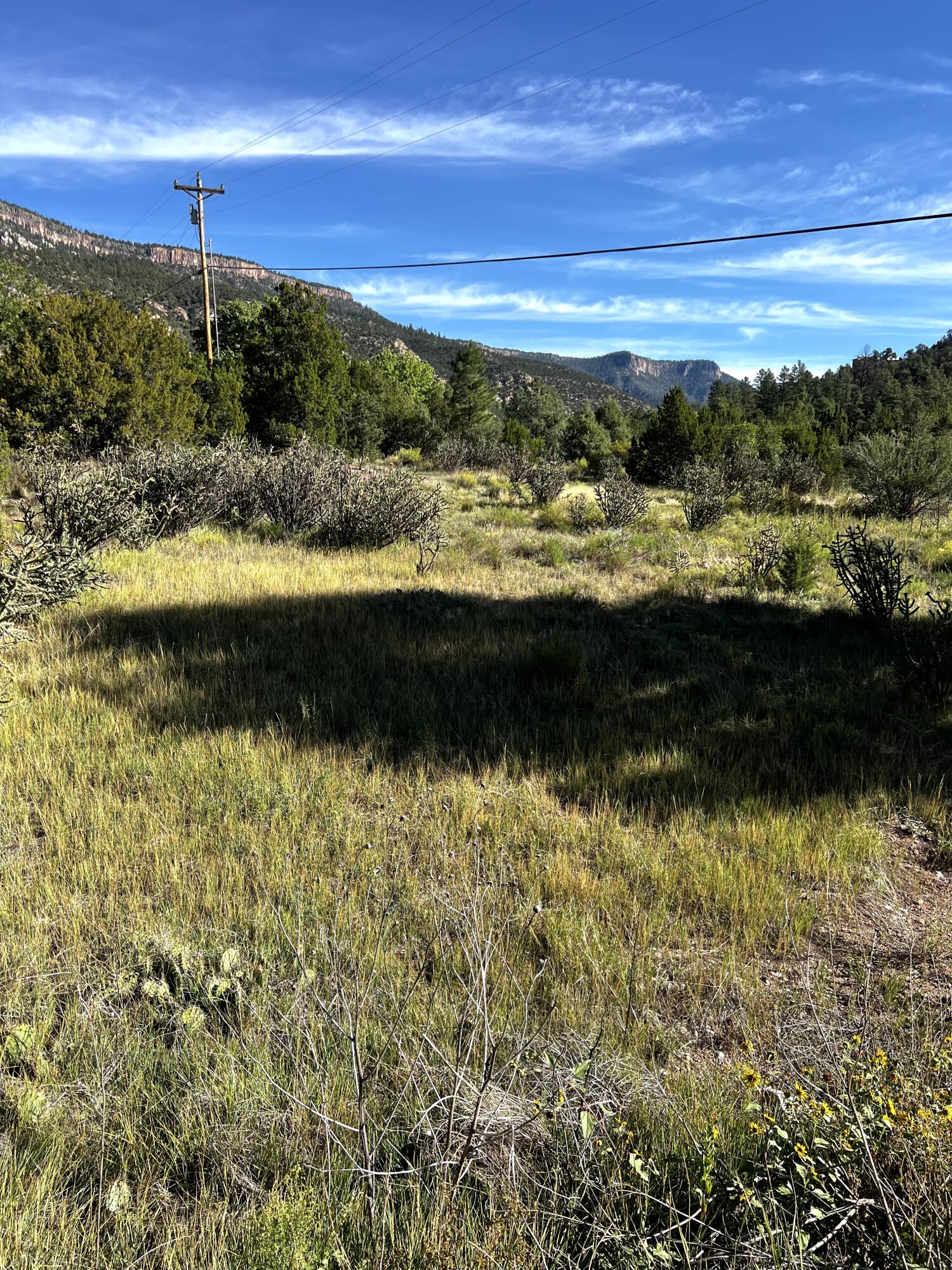 Highway 4 Lot - H