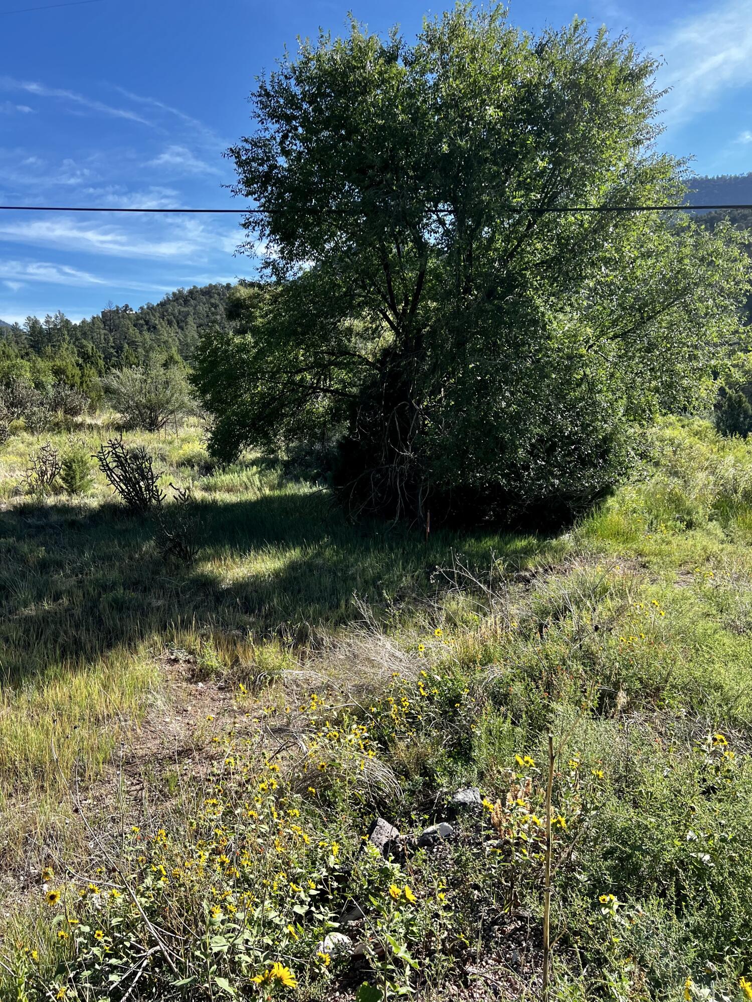 Highway 4 Lot - H