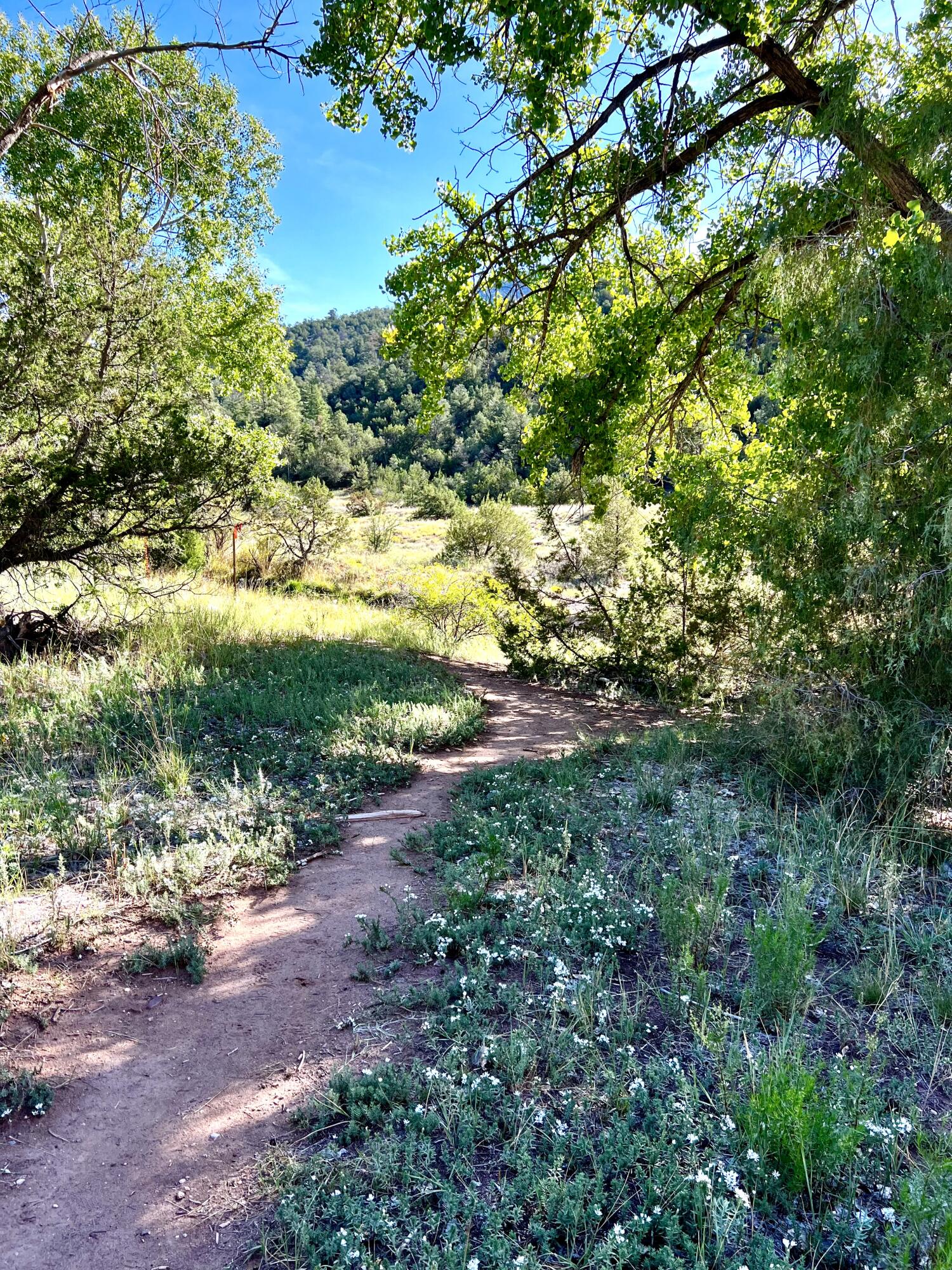 Highway 4 Lot - H