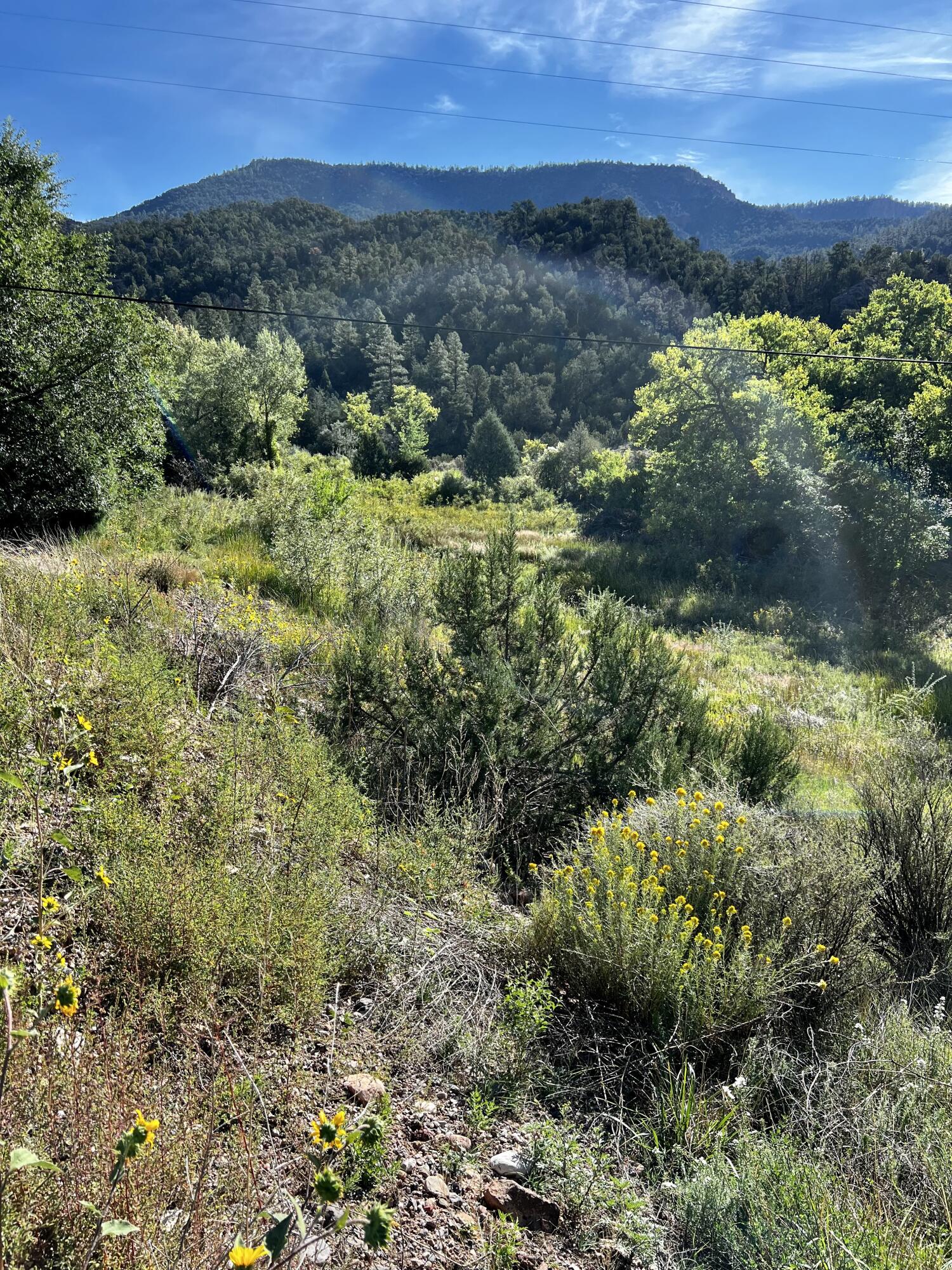 Highway 4 Lot - H