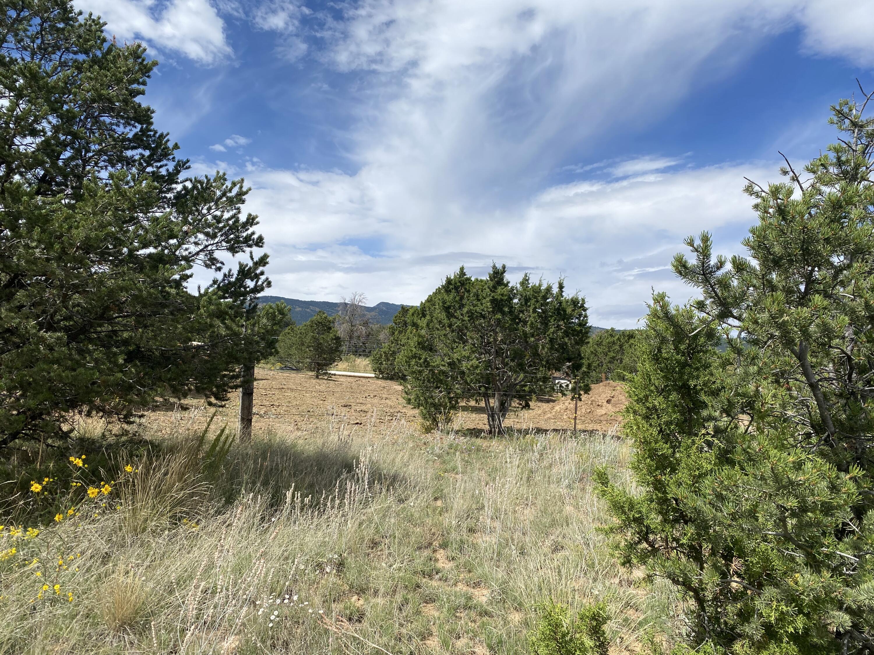 58 Pine Ridge Road