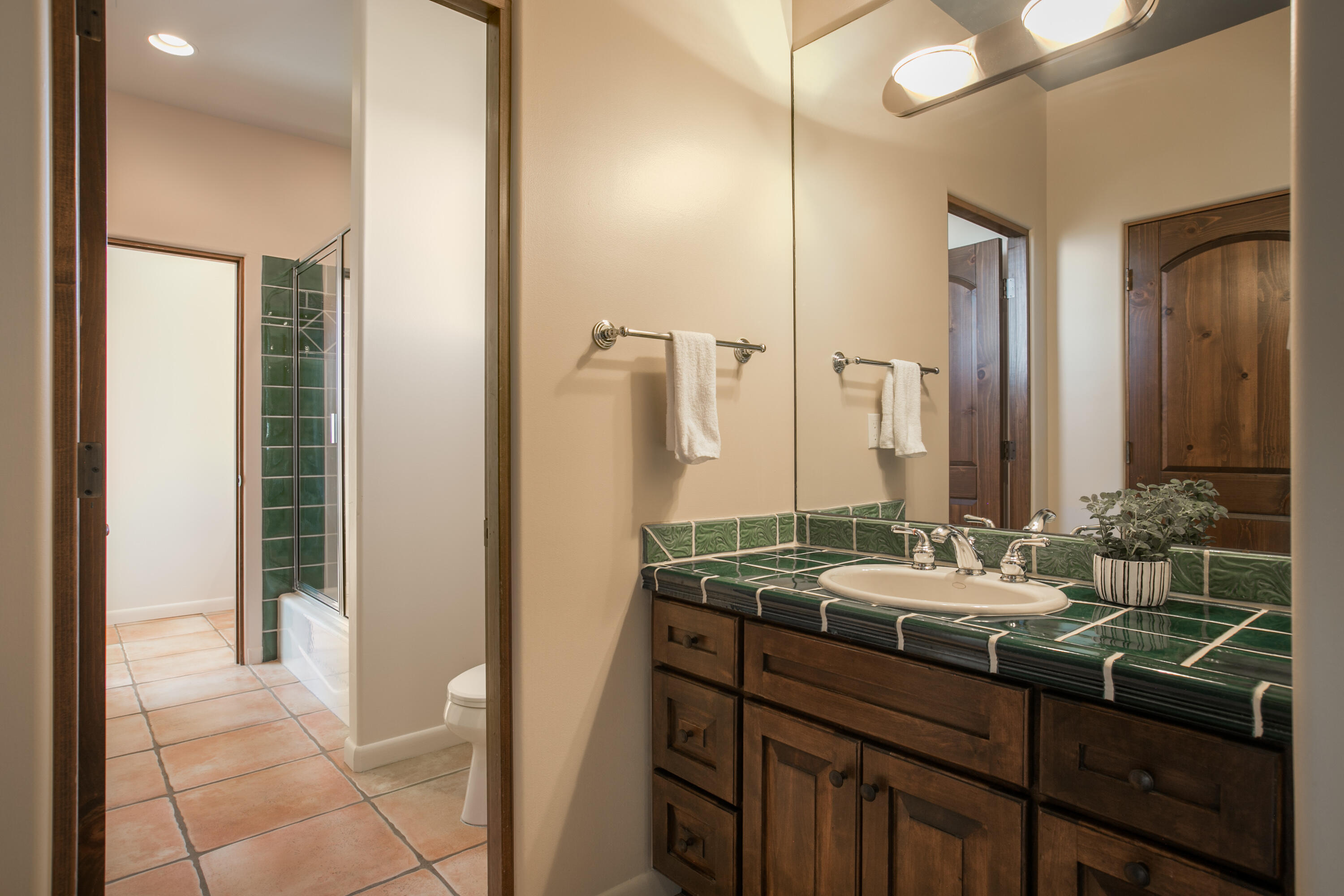 13423 Desert Zinnia Court NE