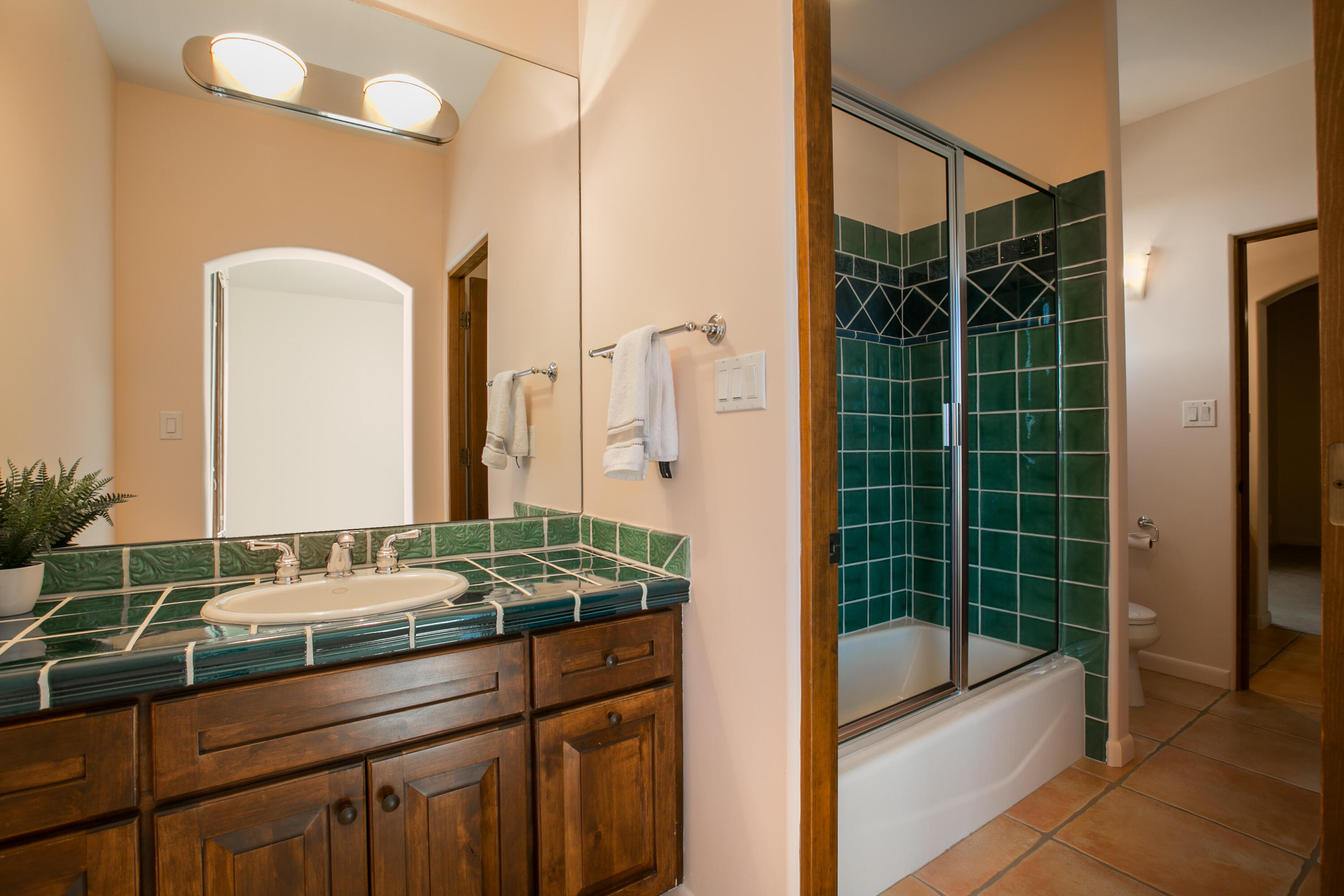13423 Desert Zinnia Court NE