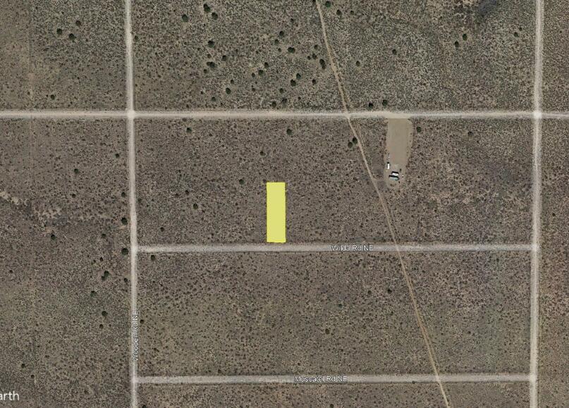 Wilda (U20, B65, L37) Road NE
