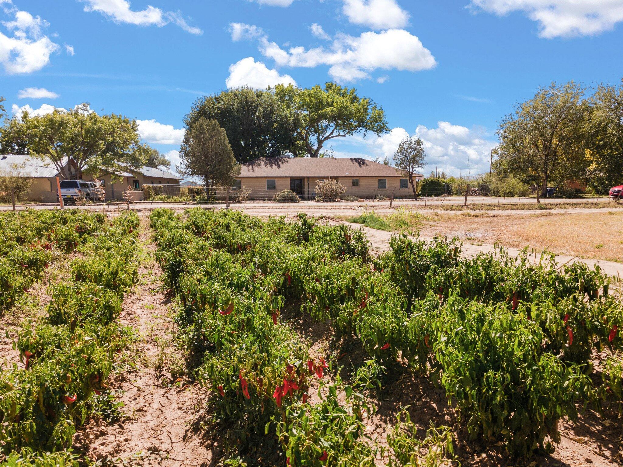 912 Paisano Drive