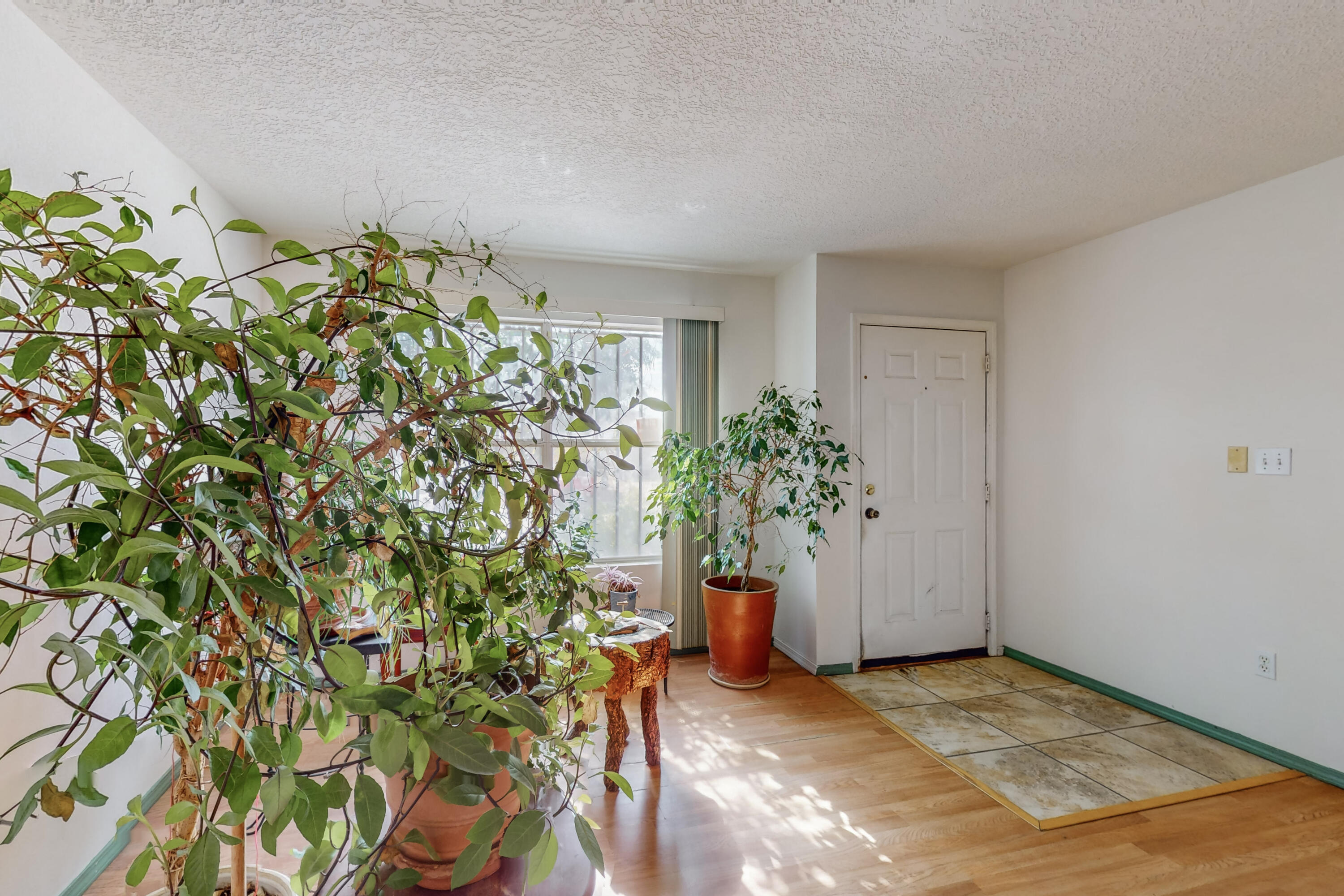 11209 King Rail Road SW