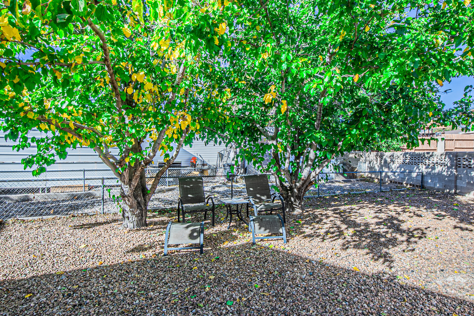 836 Horseshoe Trail SE