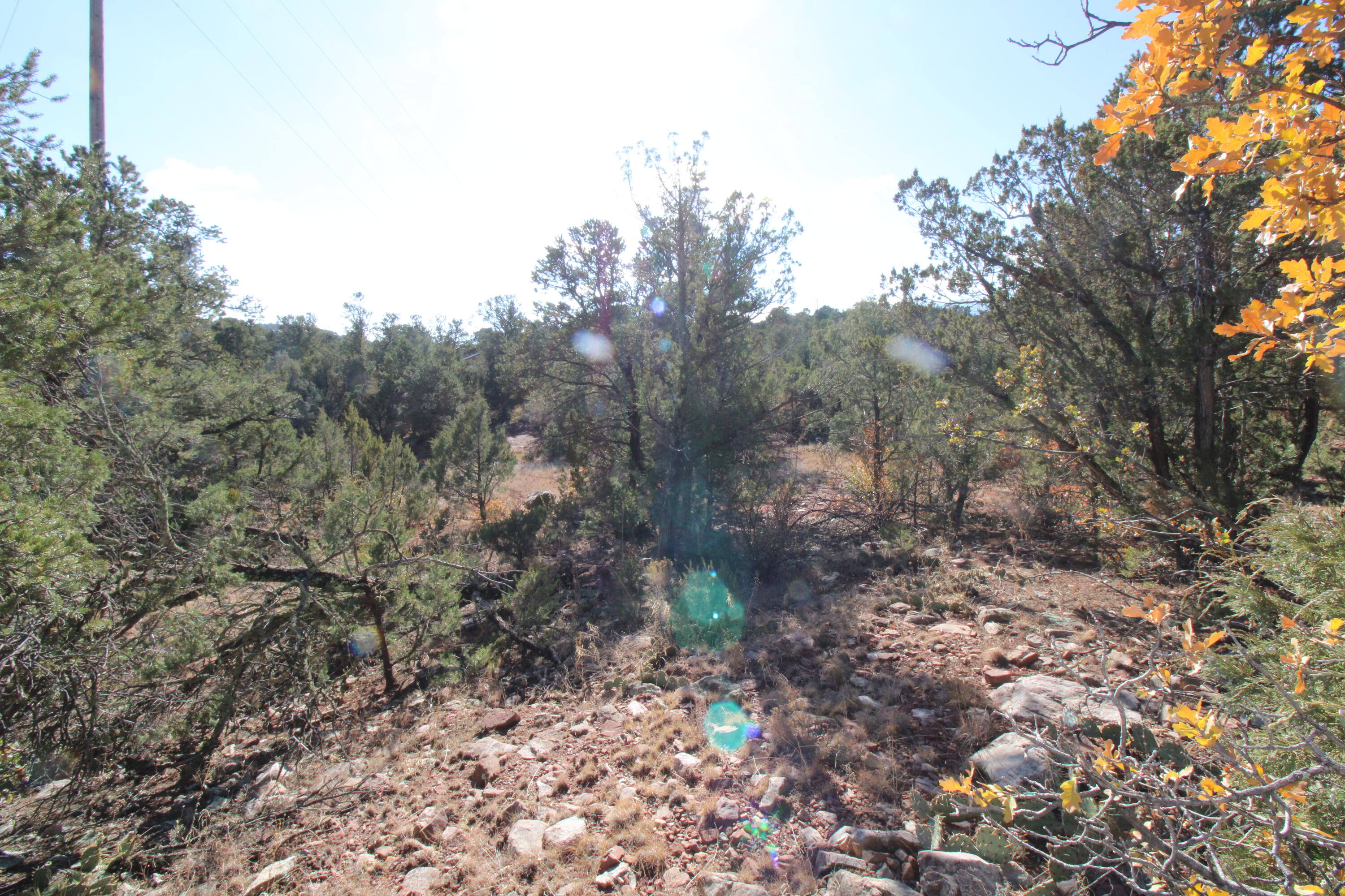 Pinon Cove
