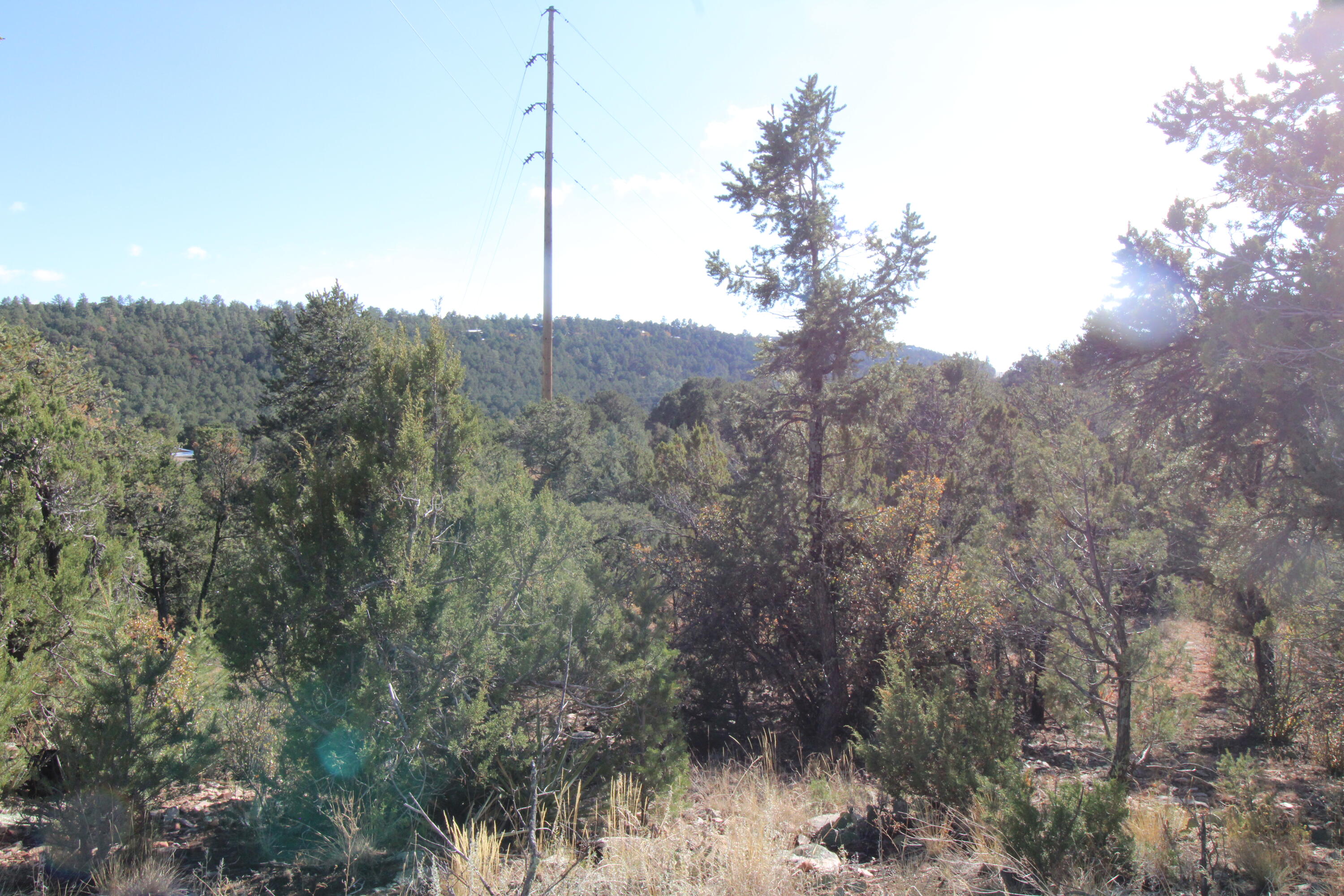 Pinon Cove
